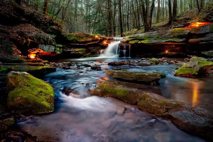 The Creative Landscape