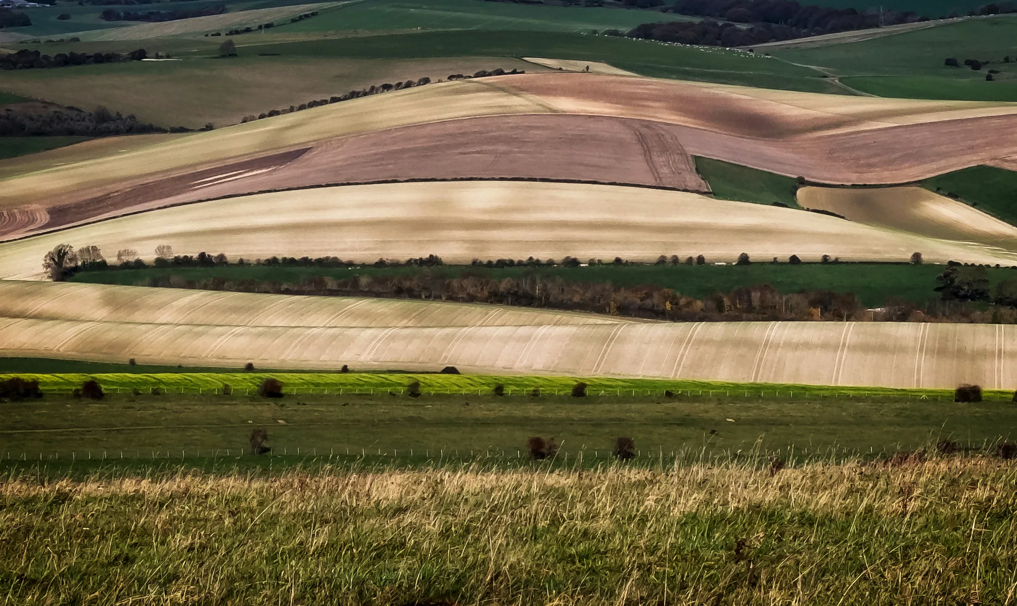 No Sky - Rural Landscapes