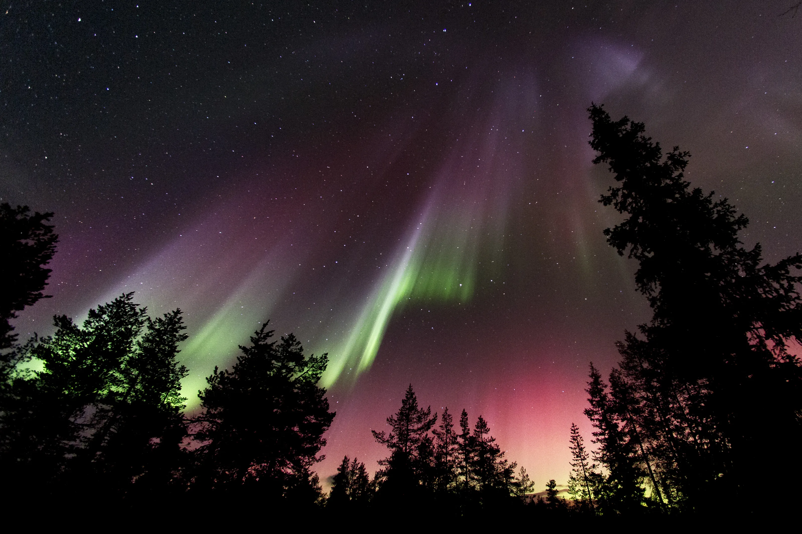 Aurora Skies