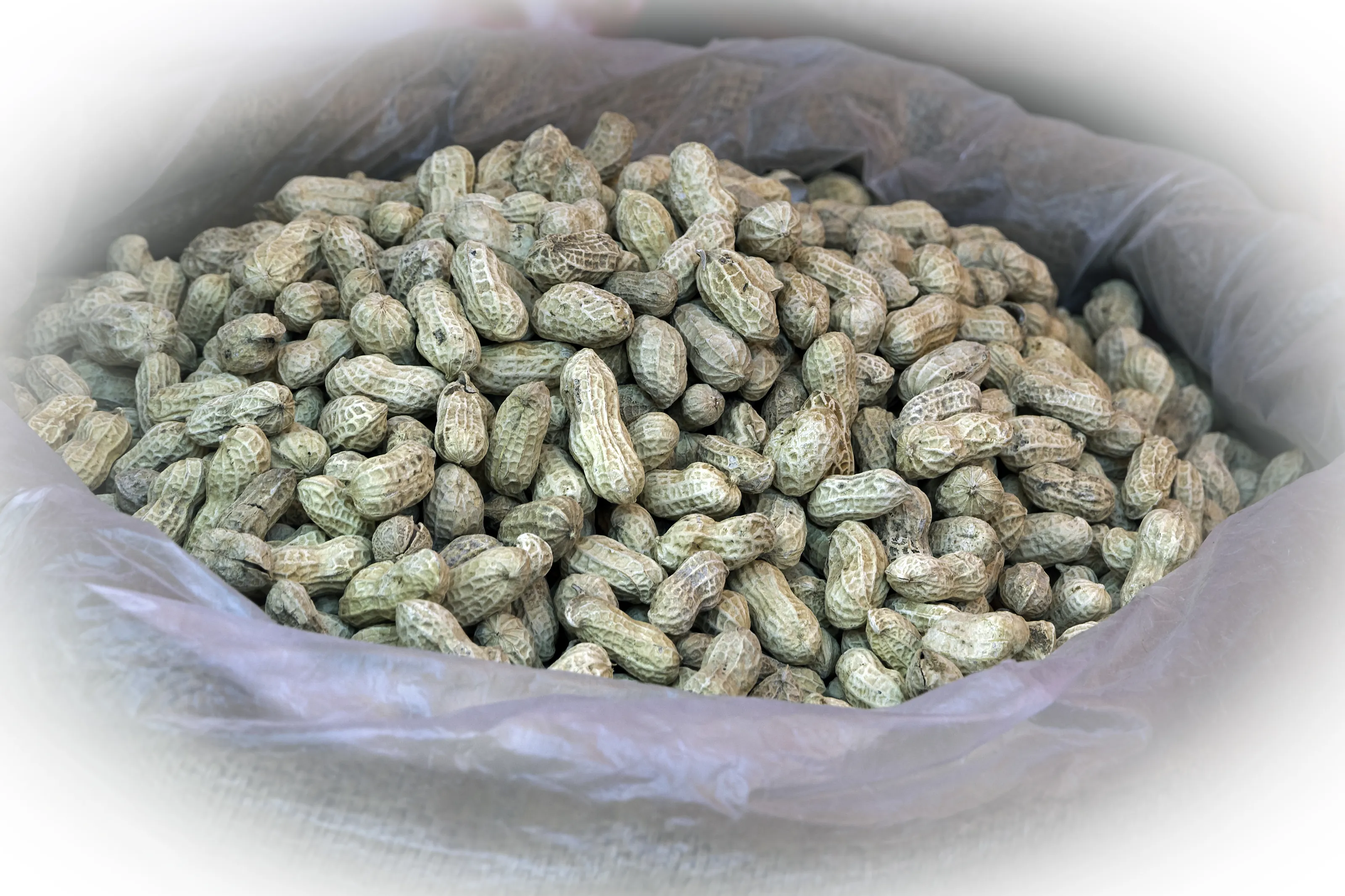 Nuts