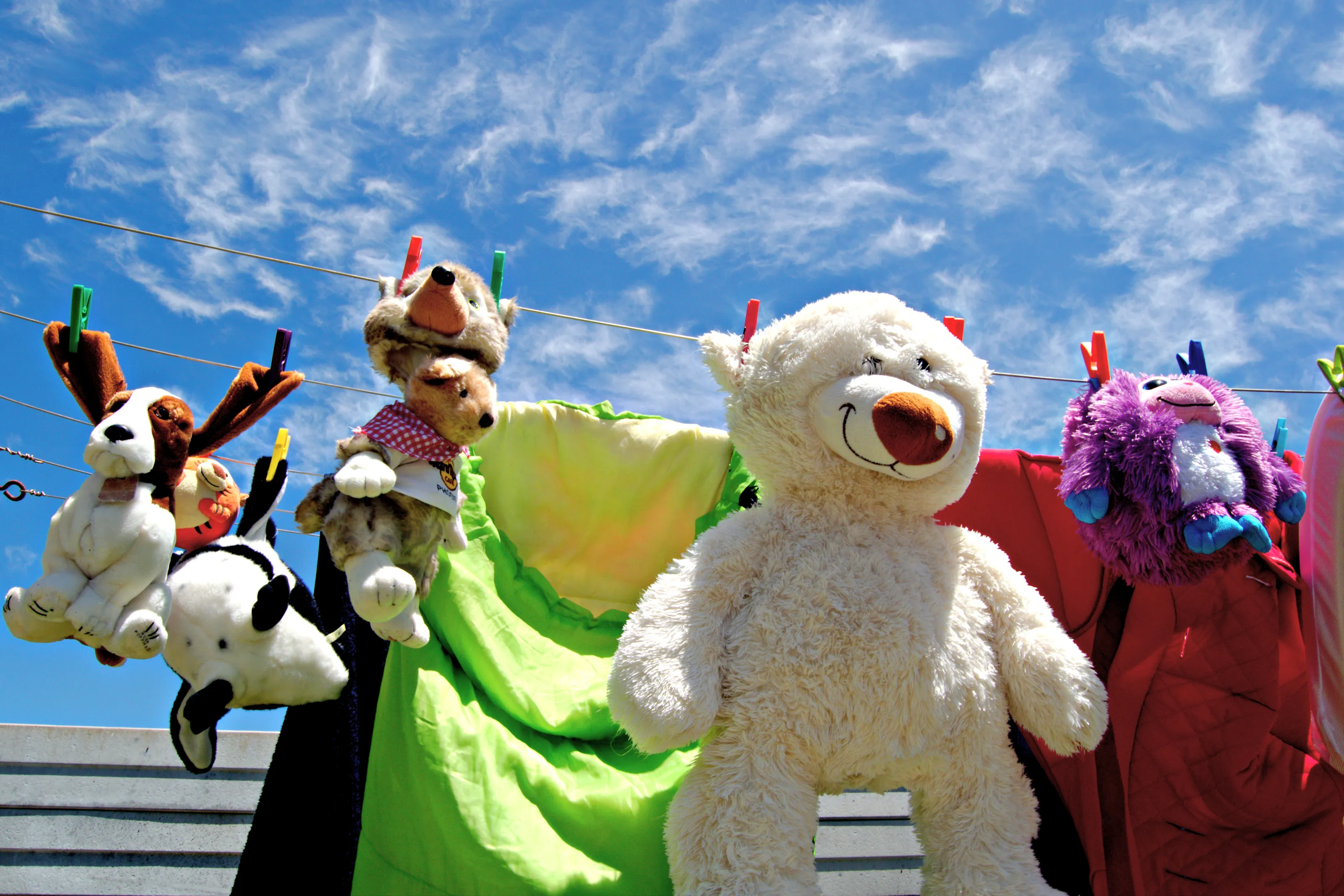 Soft Toys Outdoors