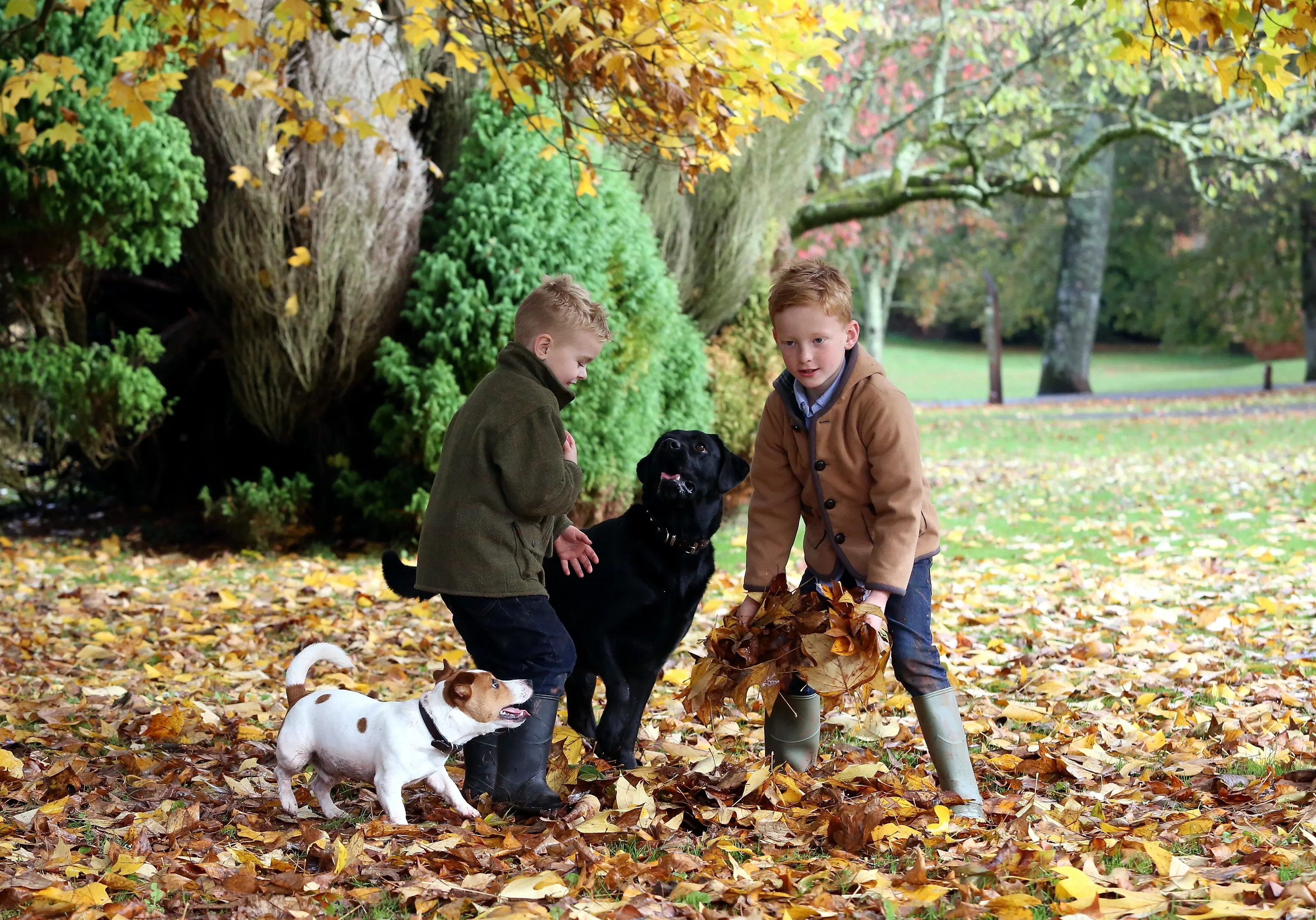 People with Dogs