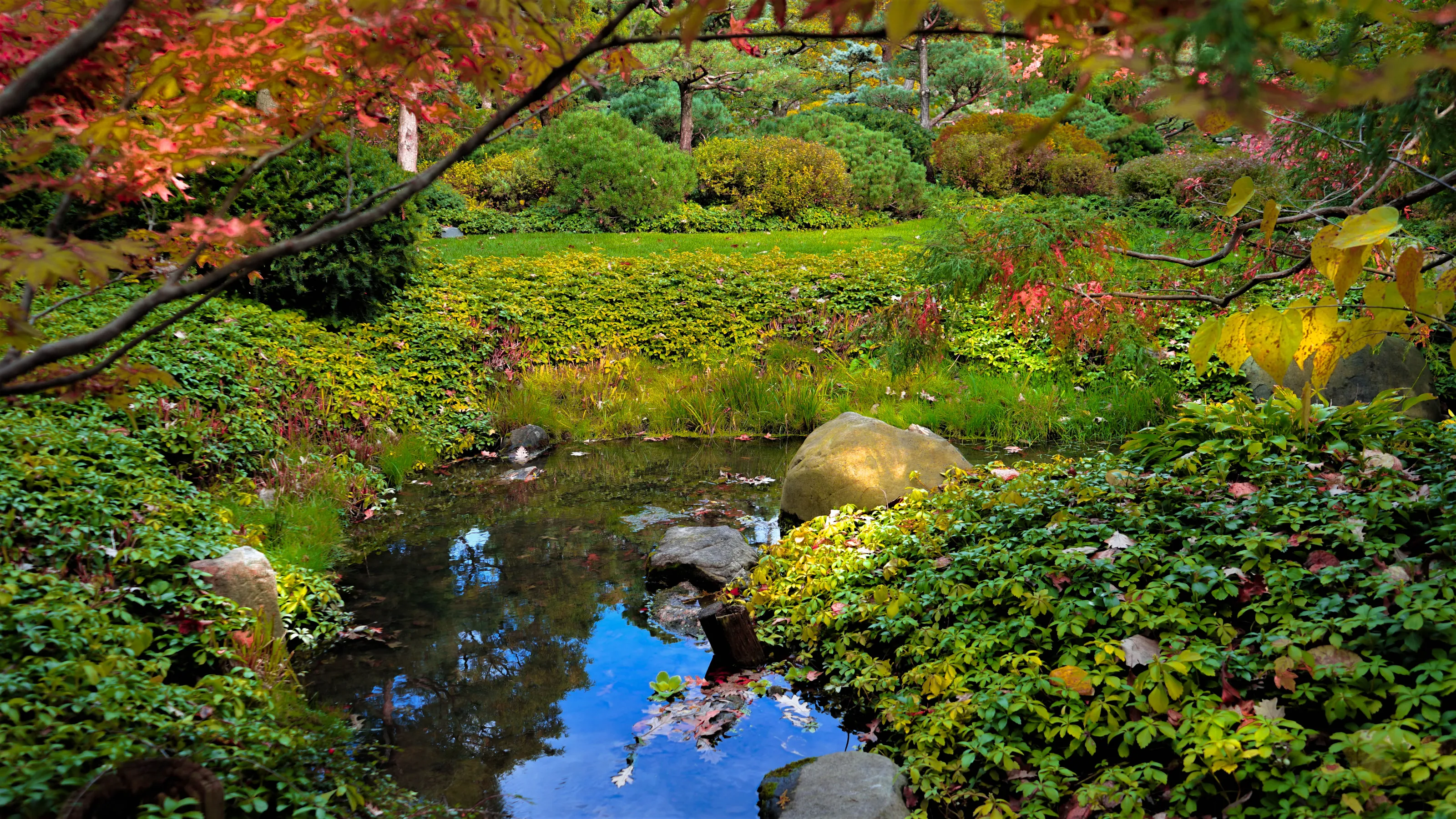 Water in Forests, Woodland and Gardens