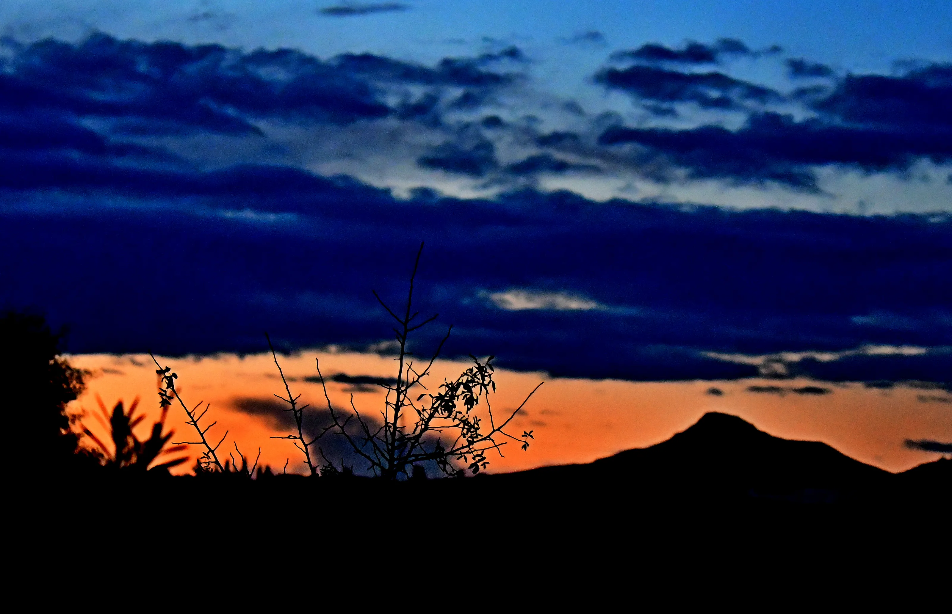 In the Blue Hour