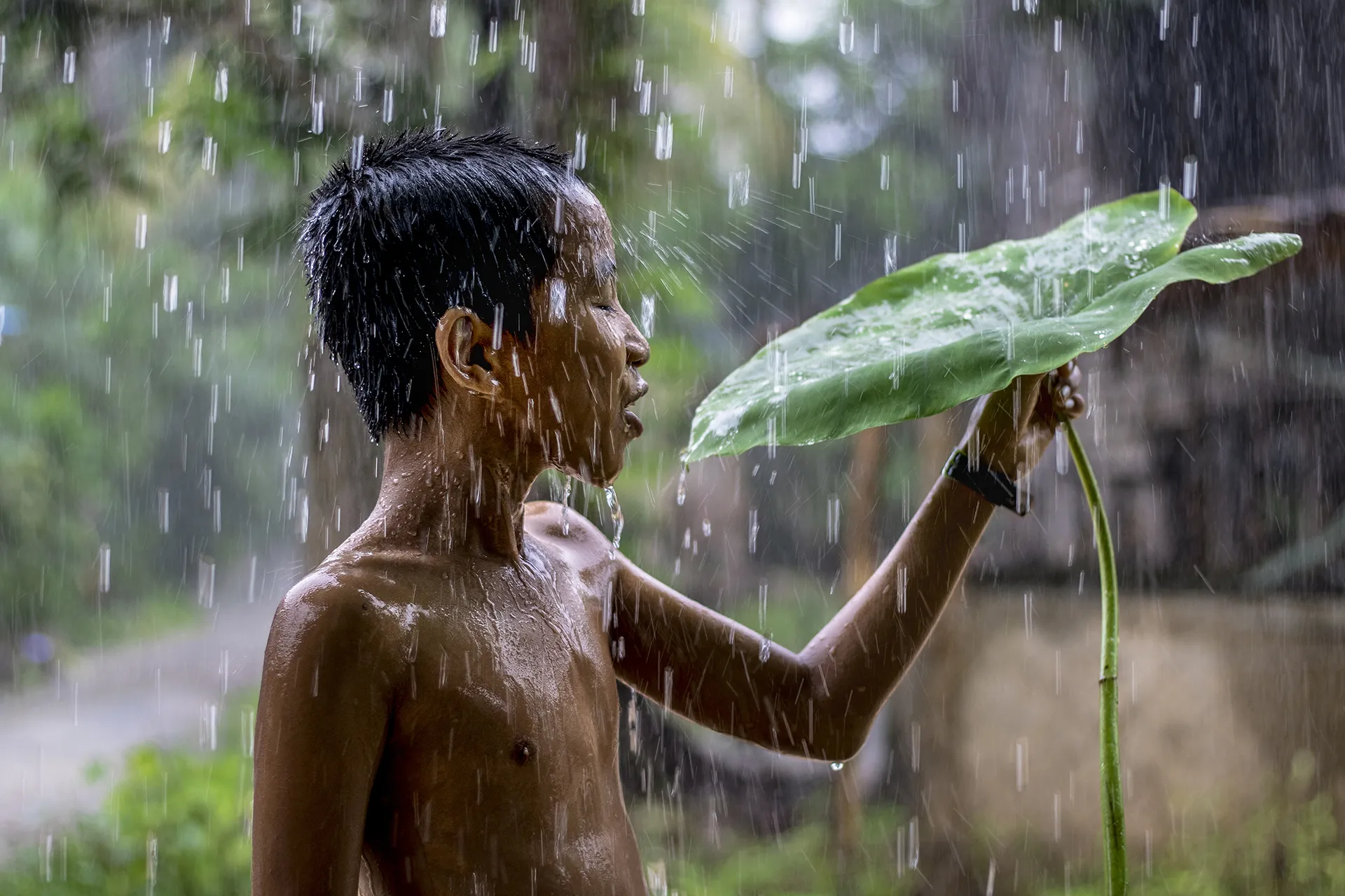Raindrops
