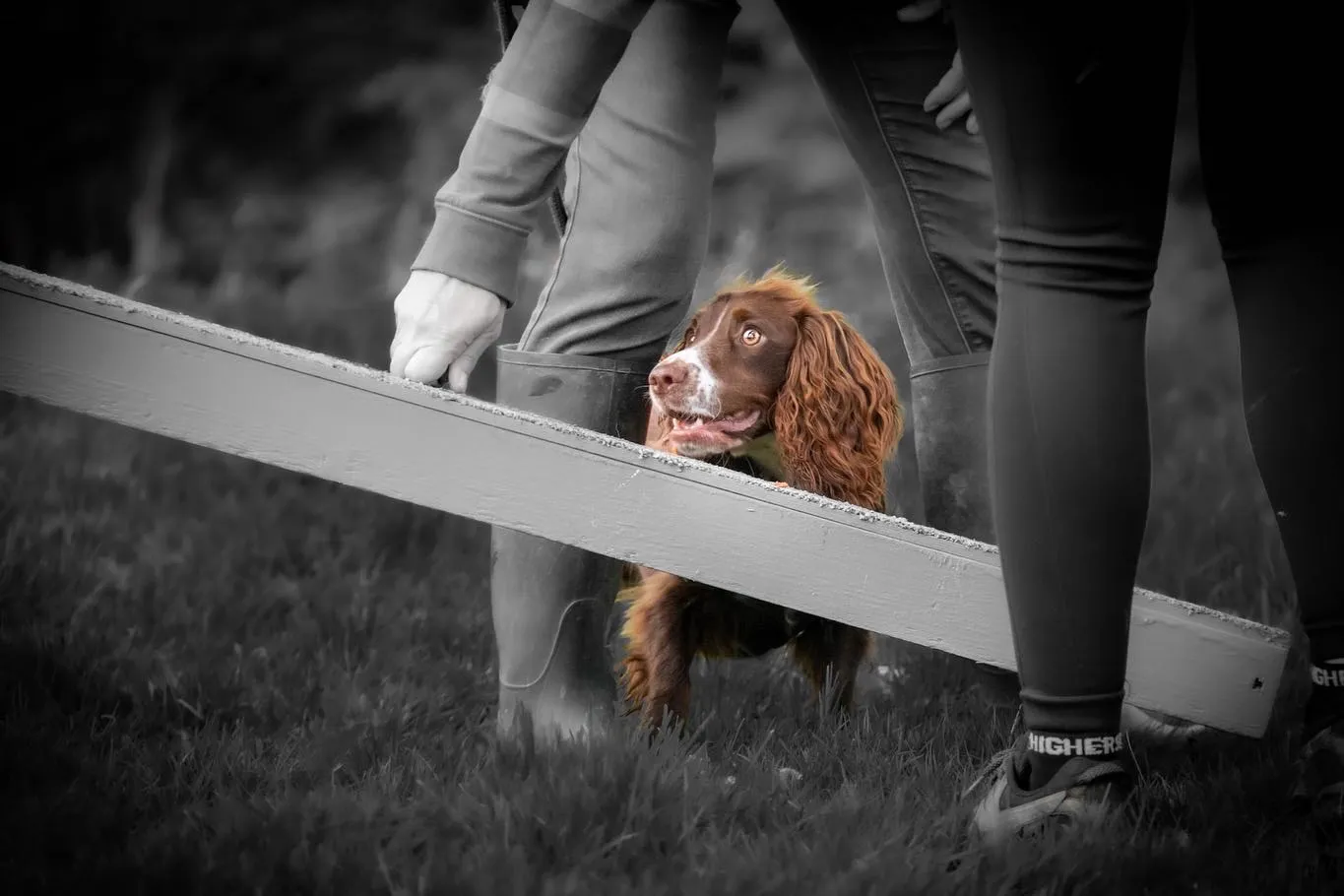 Selective Colour