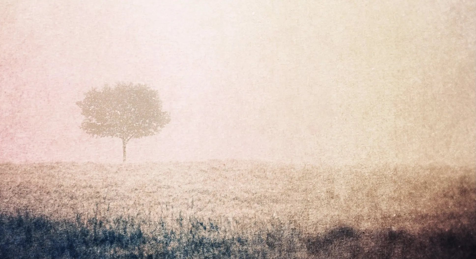 One Tree with Creative Editing