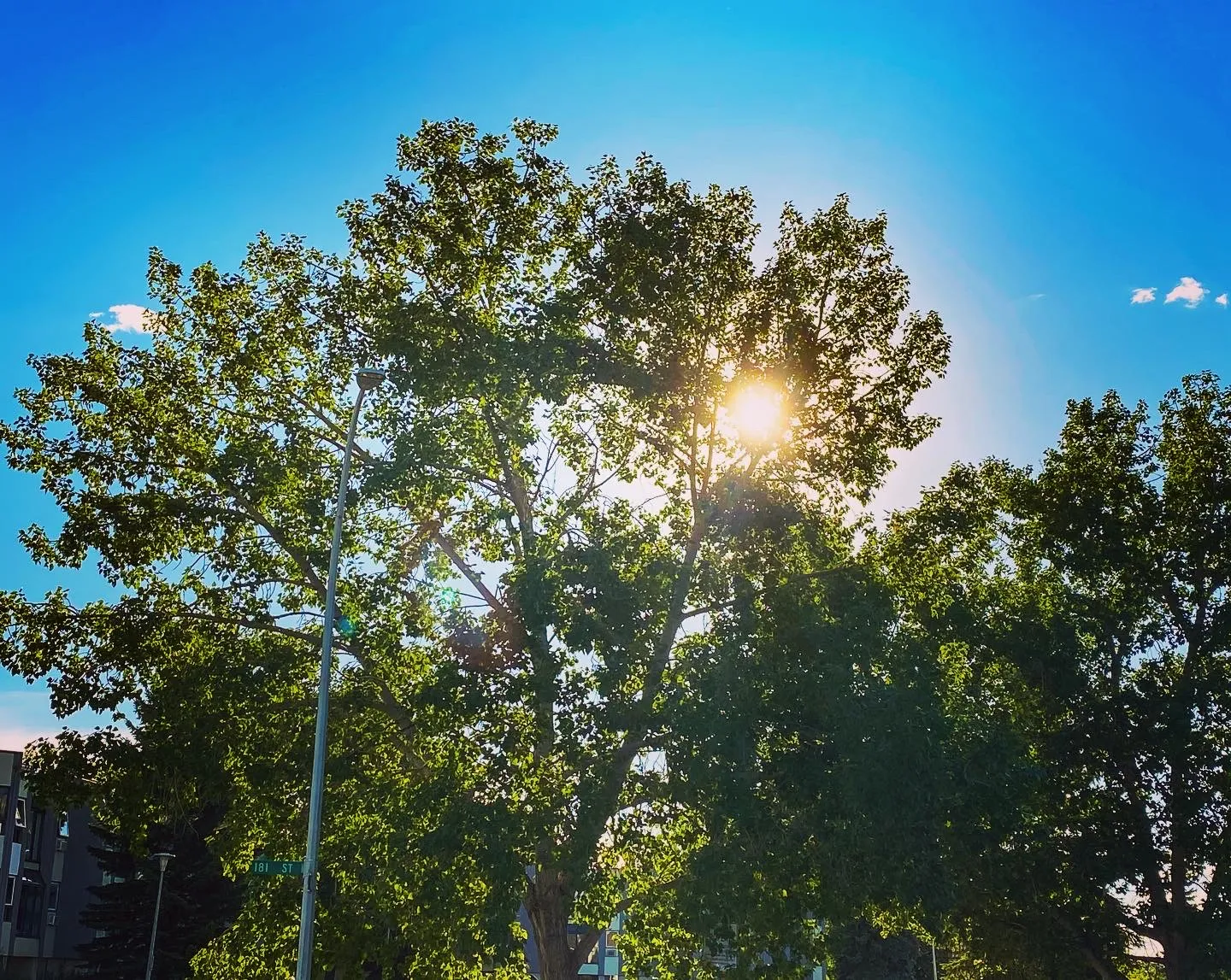 Hidden Sun