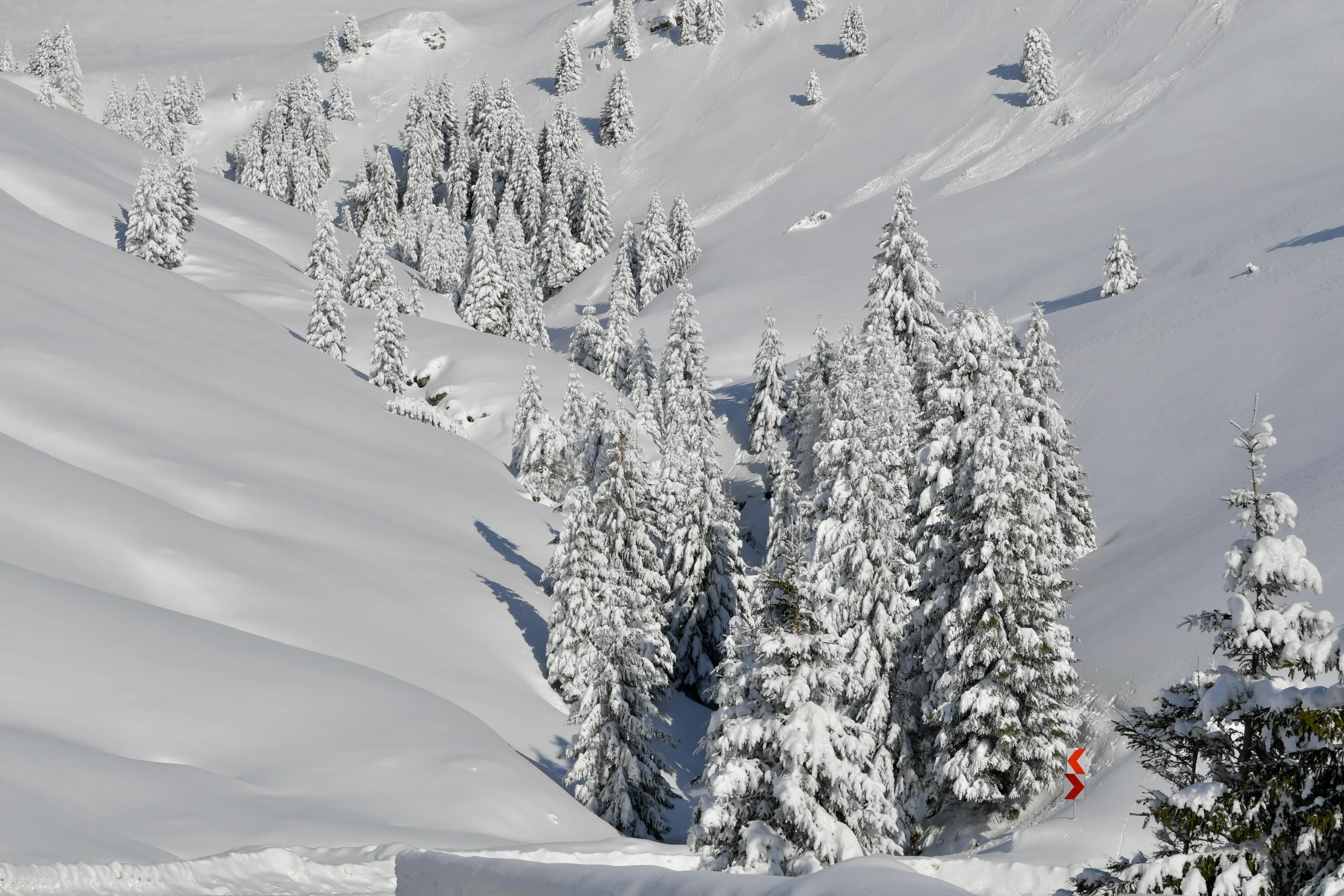 Heavy Snow