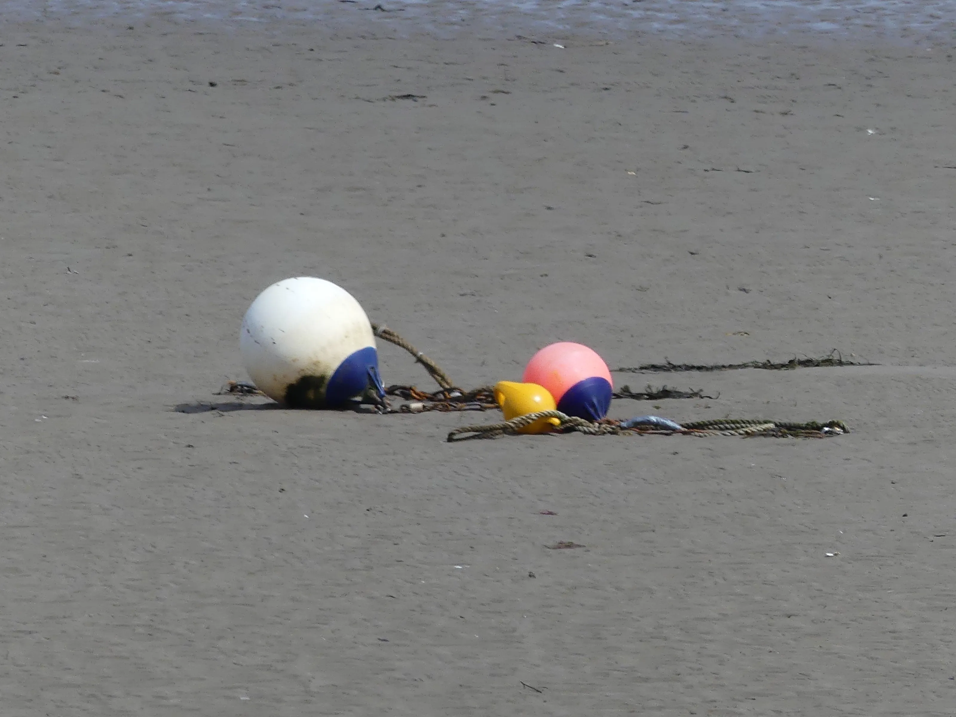 Buoys