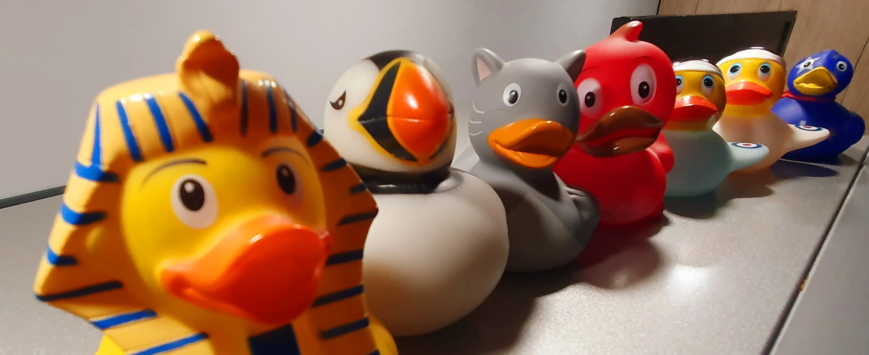 Rubber Ducks (in colour)