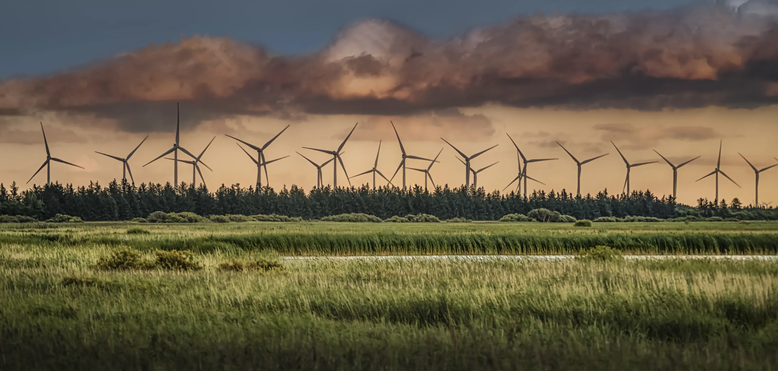 Towards a Sustainable Future