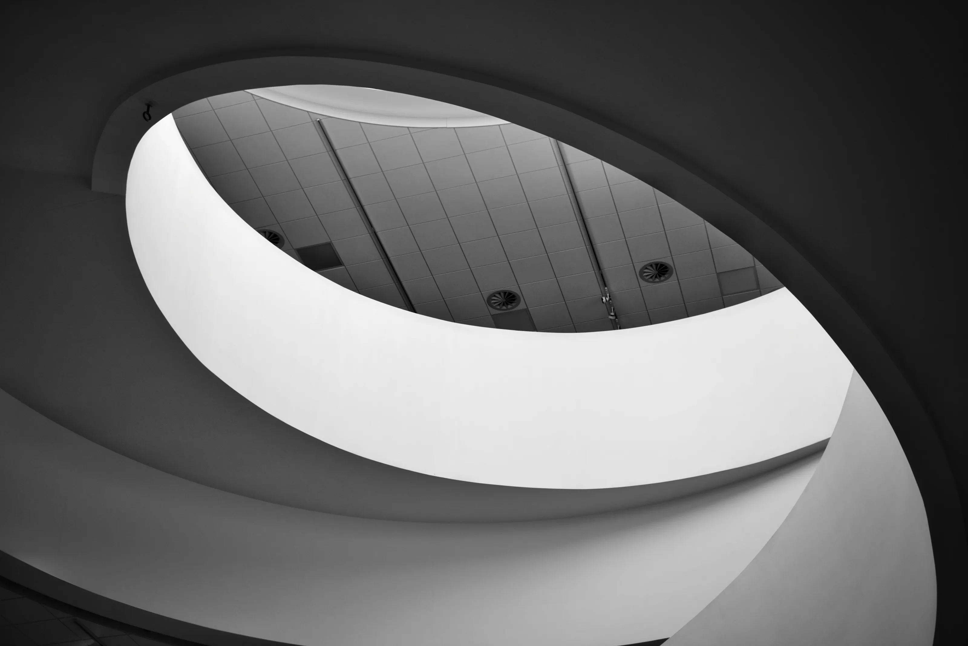 Black and White Abstracts