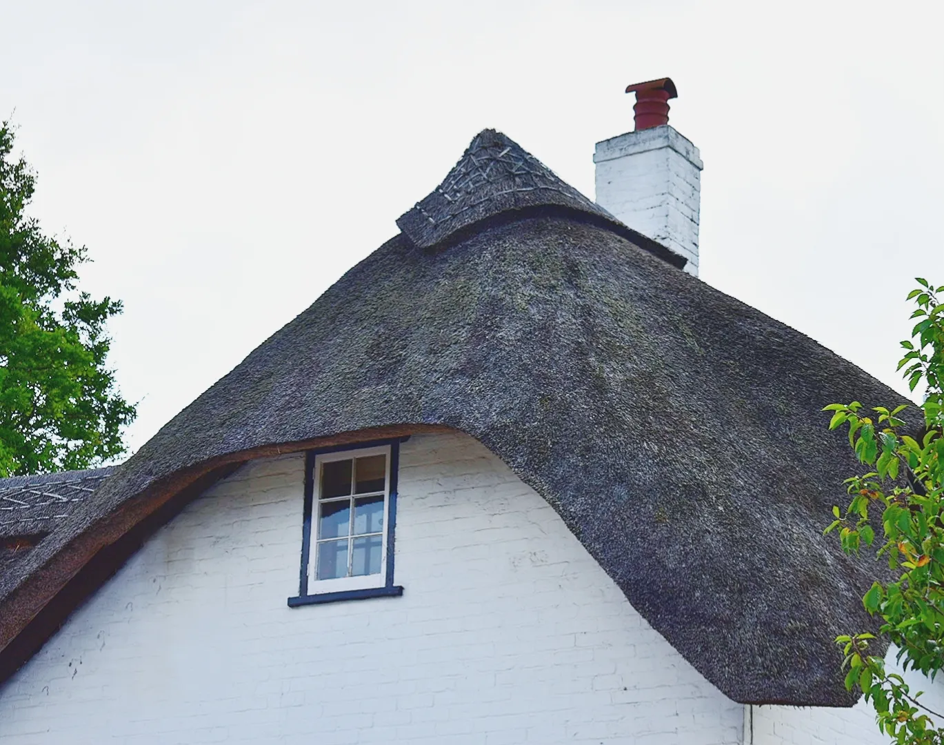Thatched Roofs