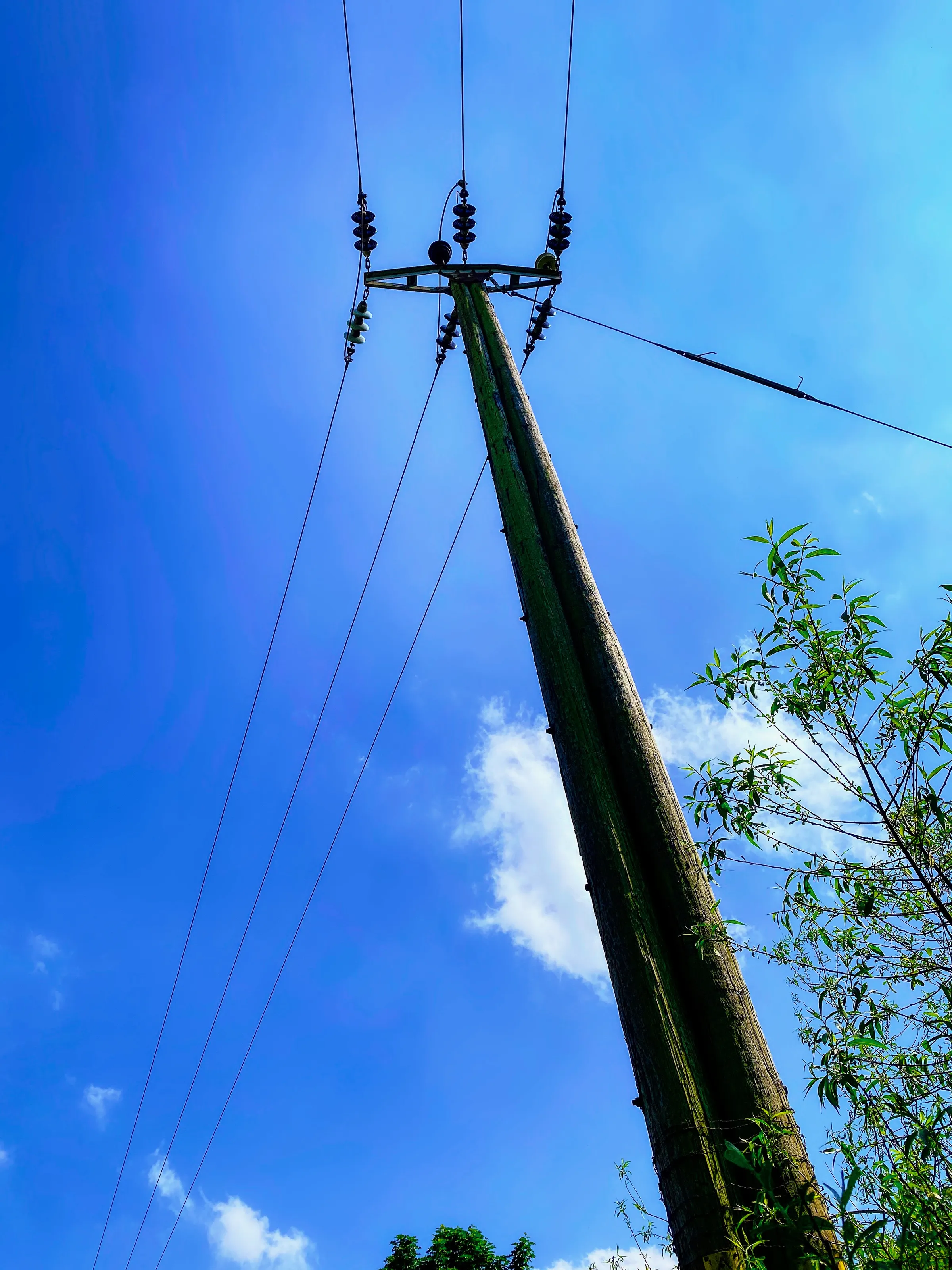 Utility Poles and Lines