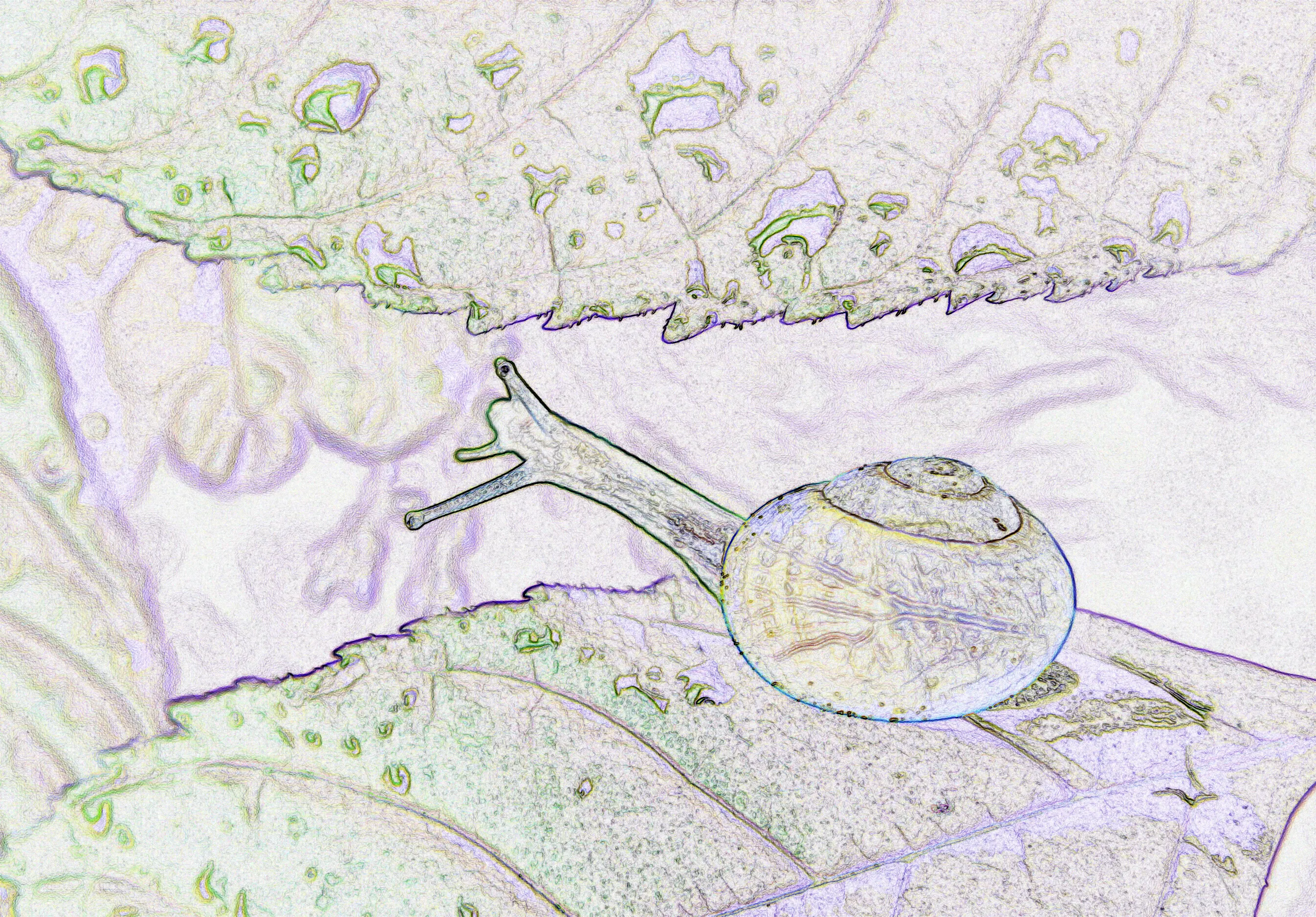 Pencil or Pastel Sketch Effect in Photo-Editing