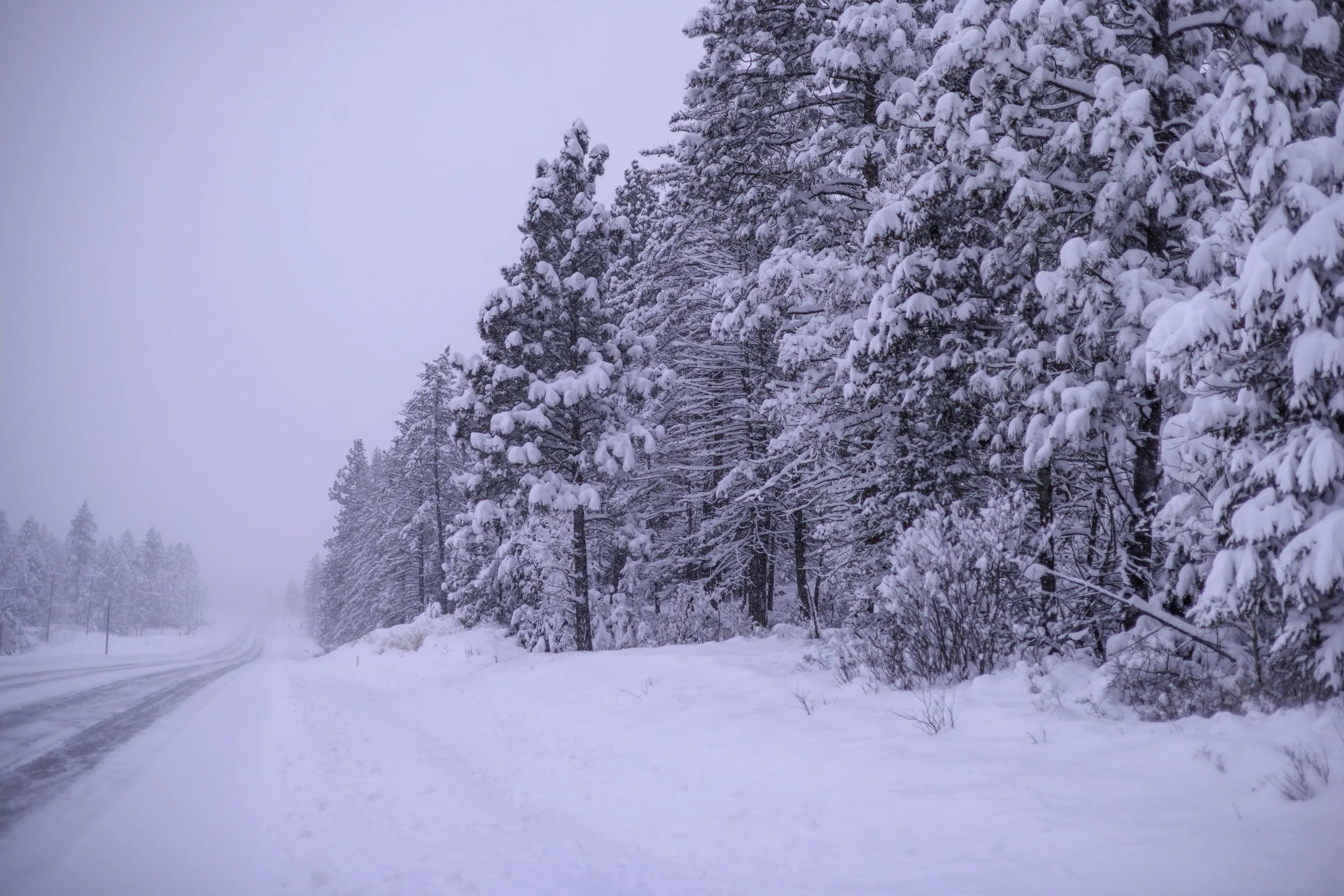 Snowy Landscapes