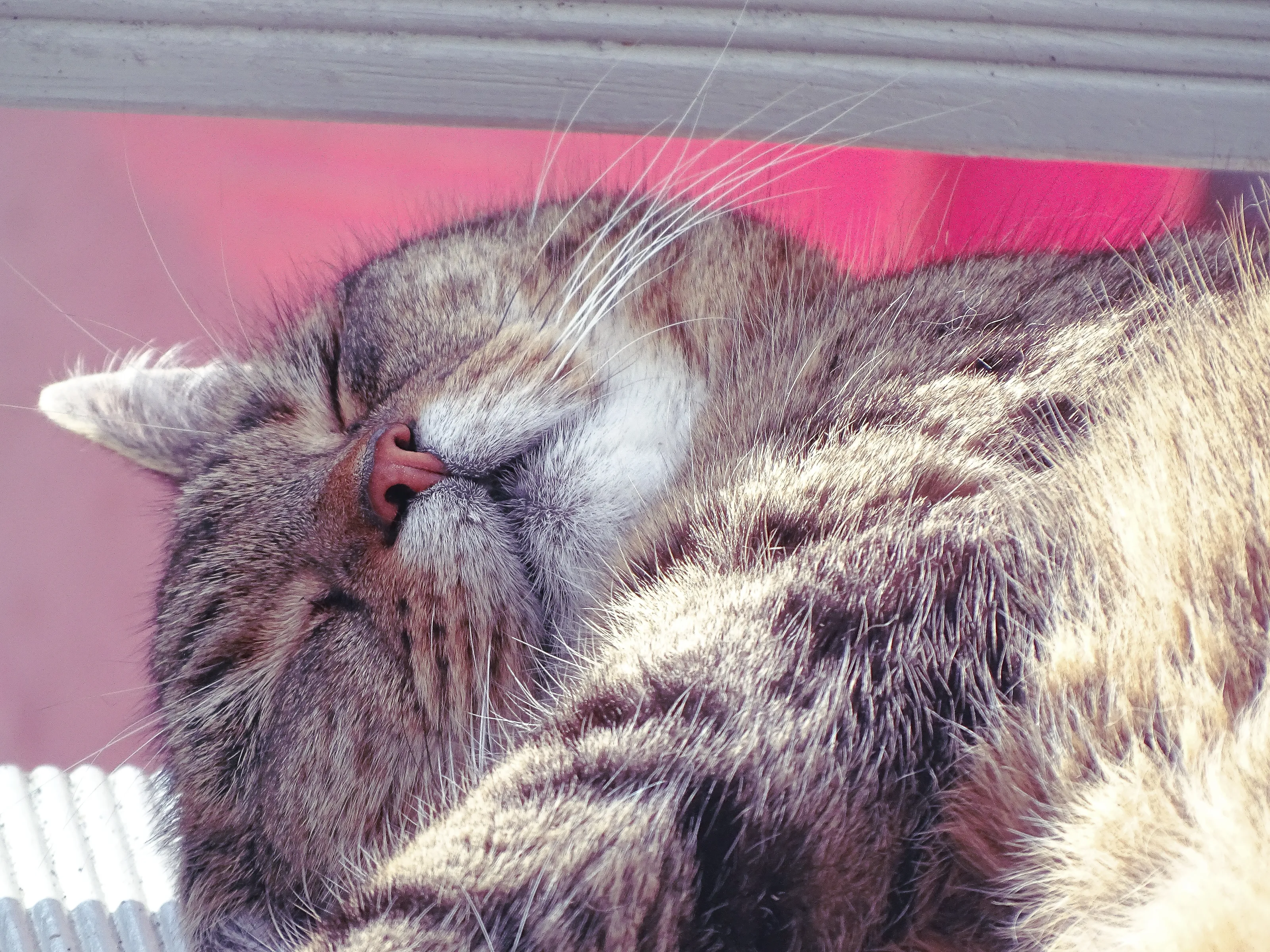 Asleep