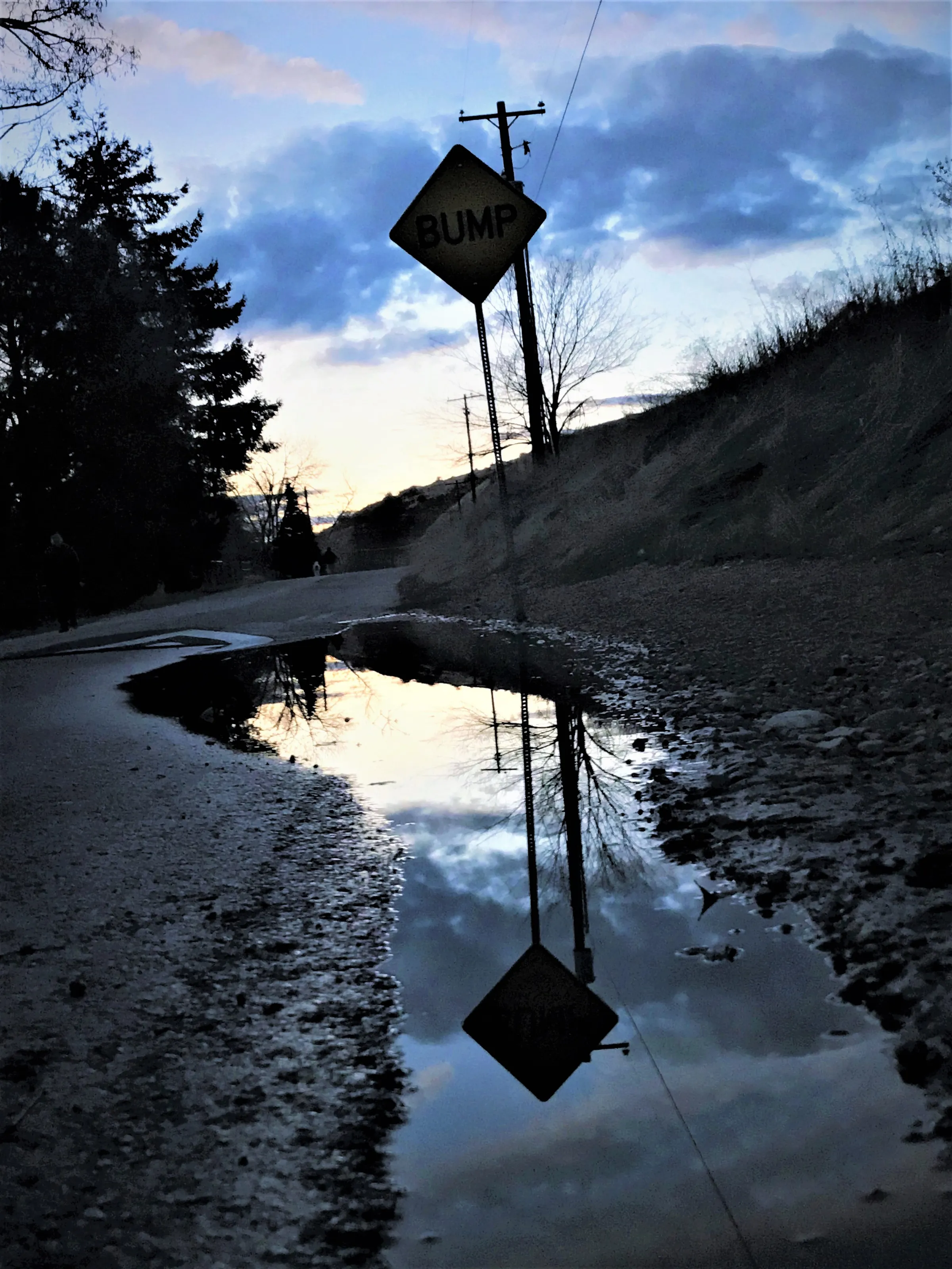 Reflections in Puddles