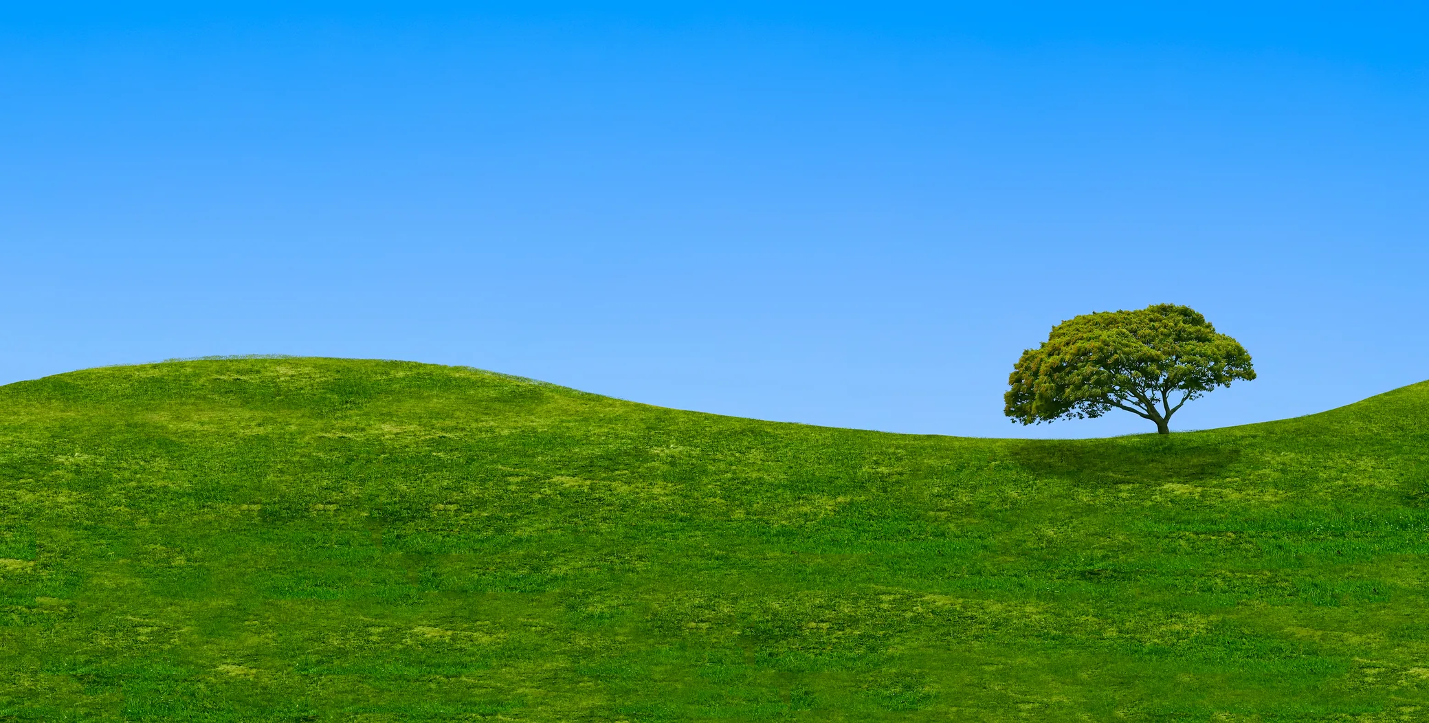 Blue Skies