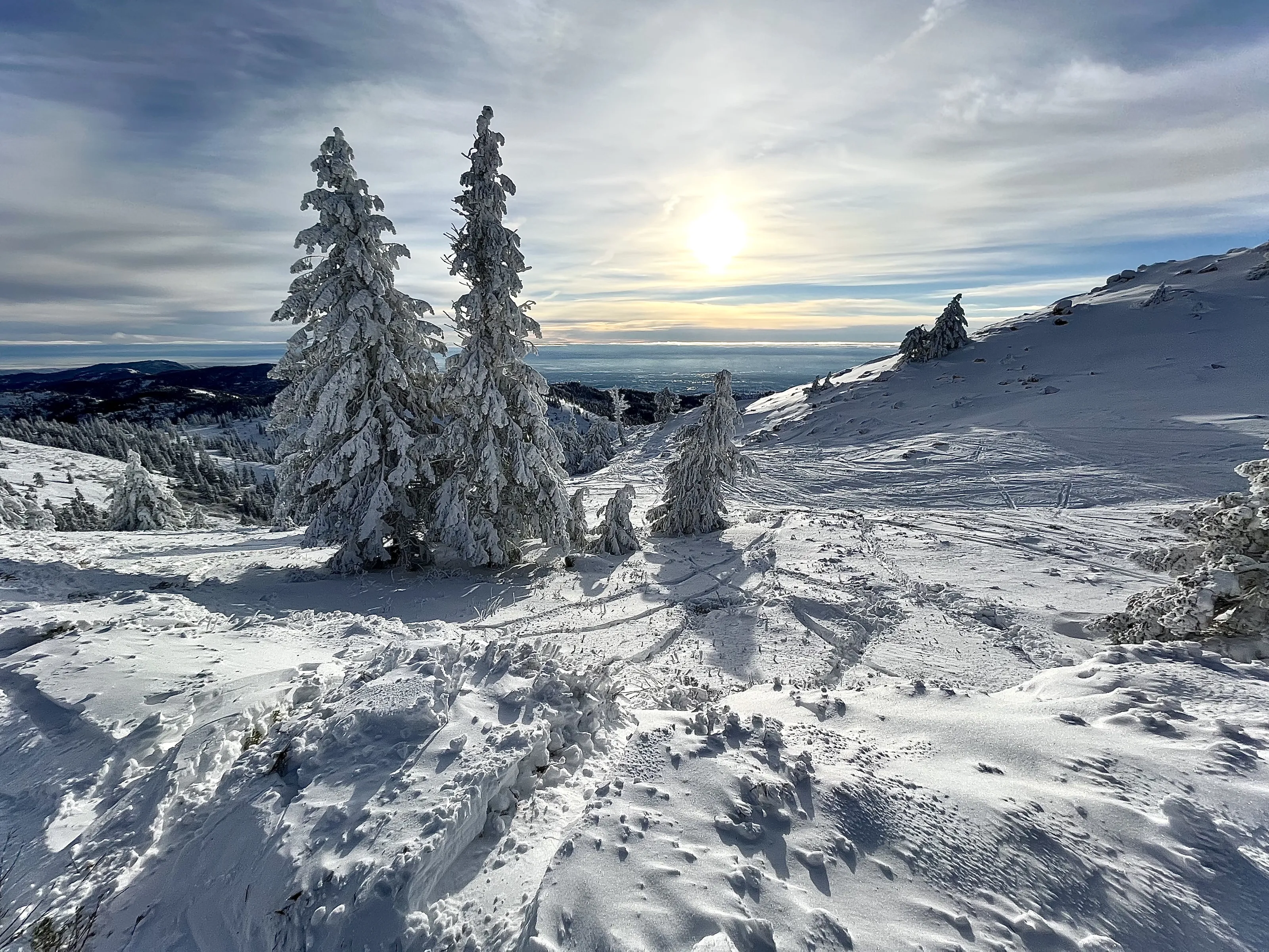 Landscapes Ideal for Skiing