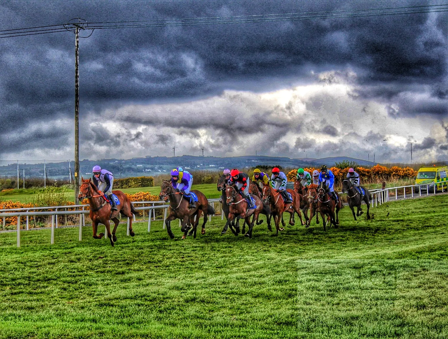 Horses During Competitions (in colour)