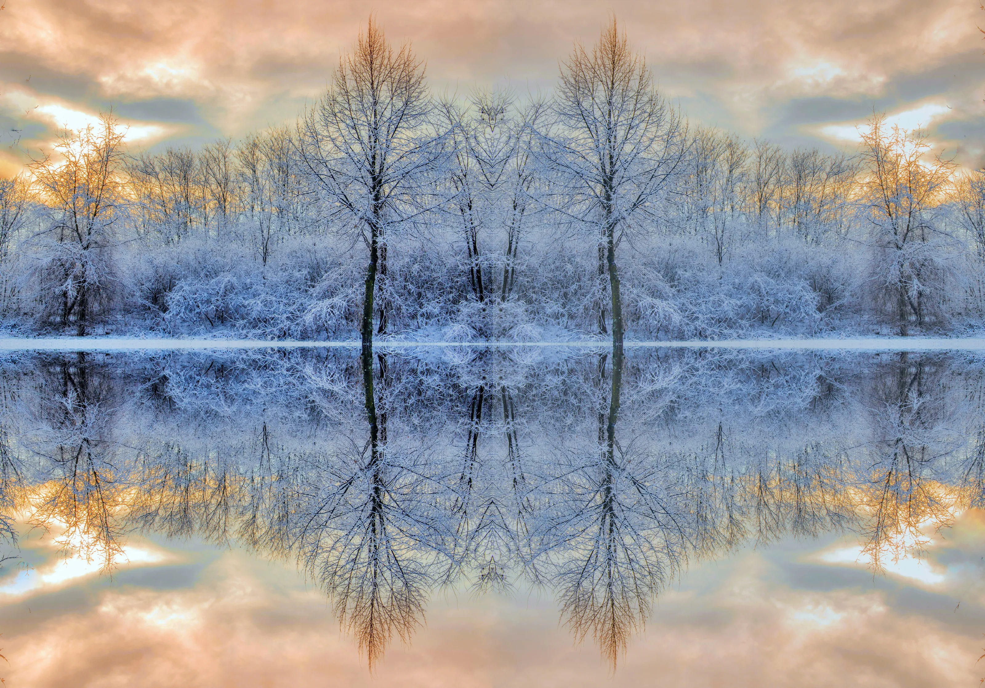 Spectacular Reflections