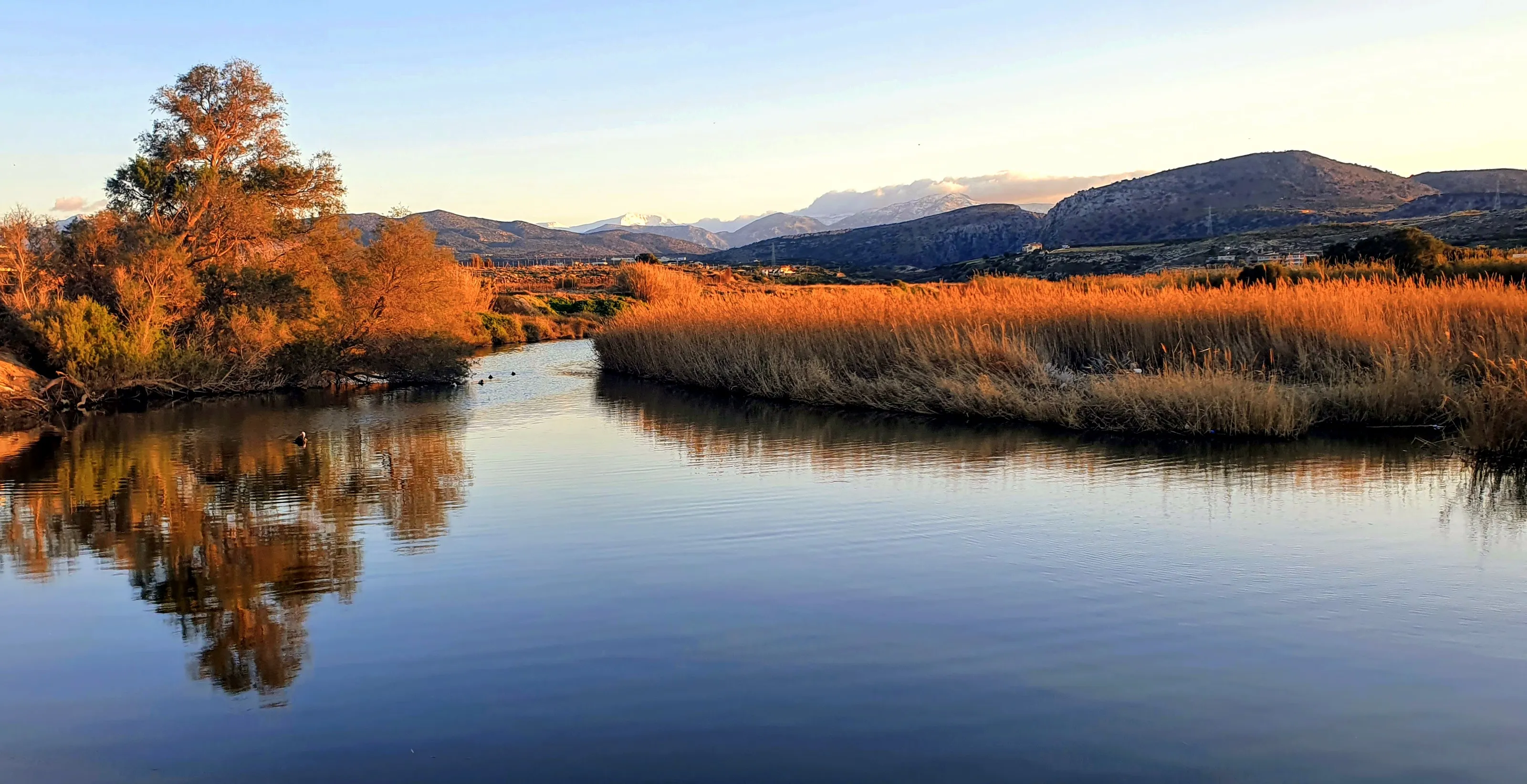 Reflections of Trees on Water (in colour)