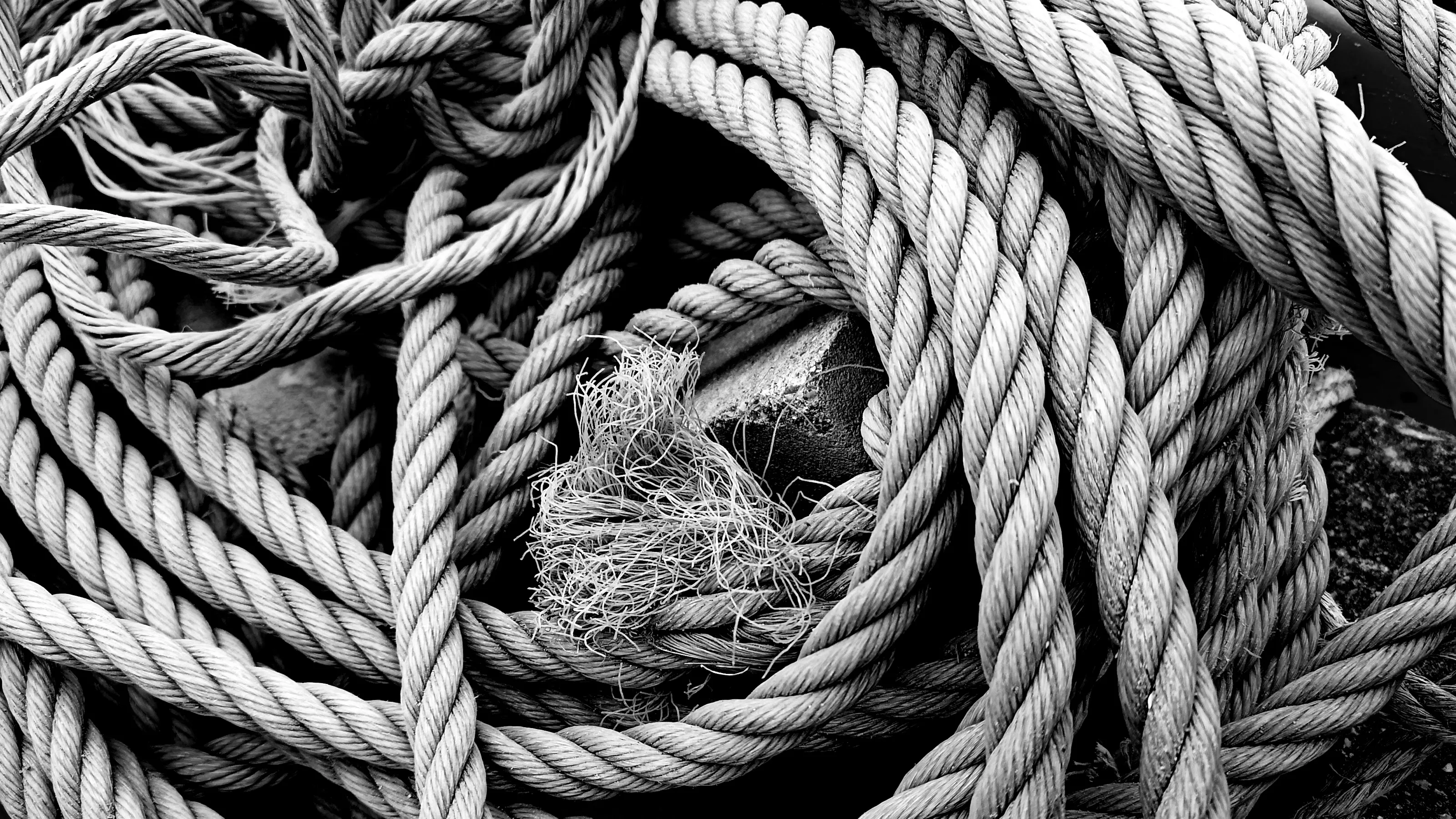 Rope, String and Cord  in  Black and White