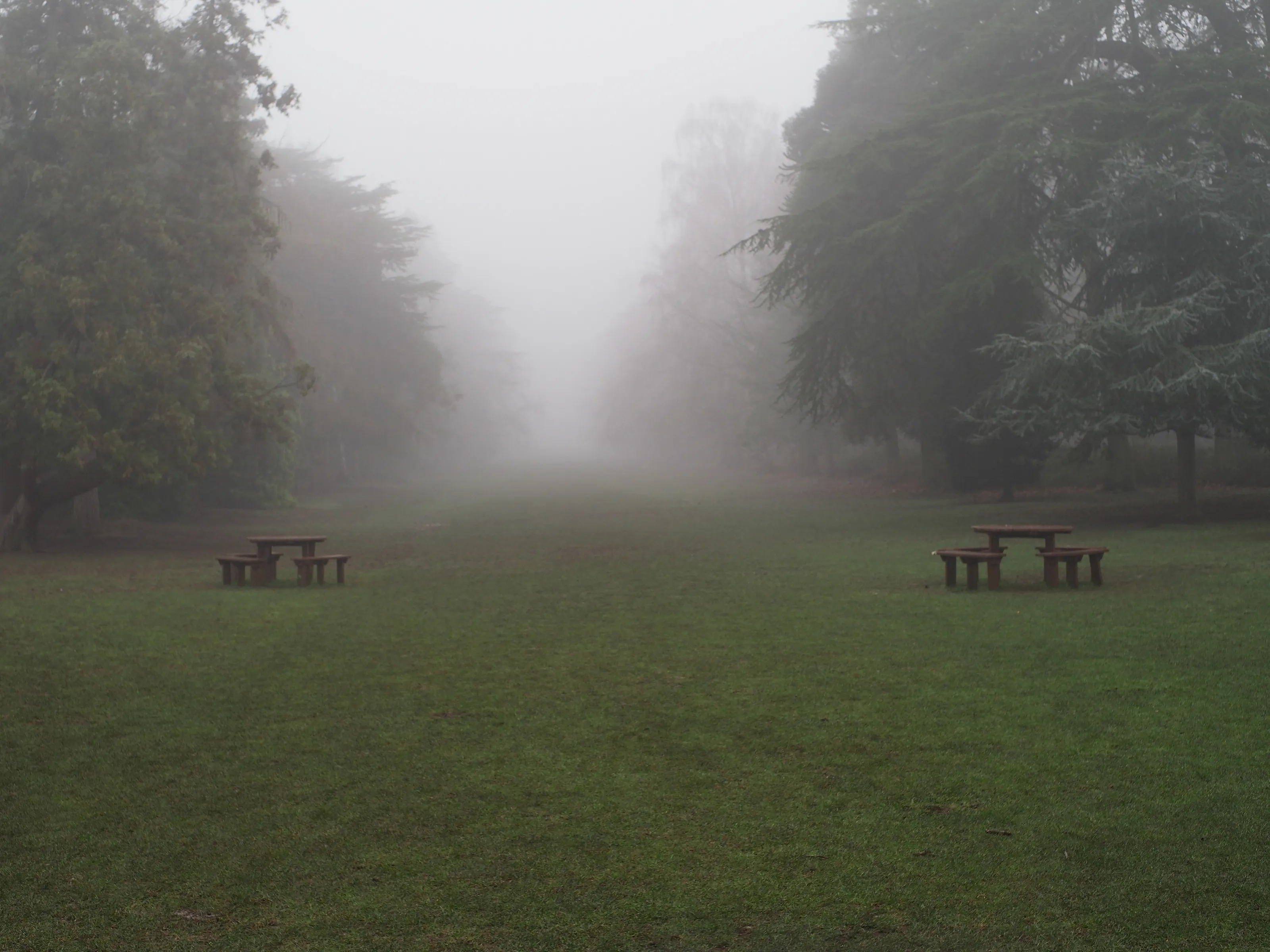 Fog or Mist