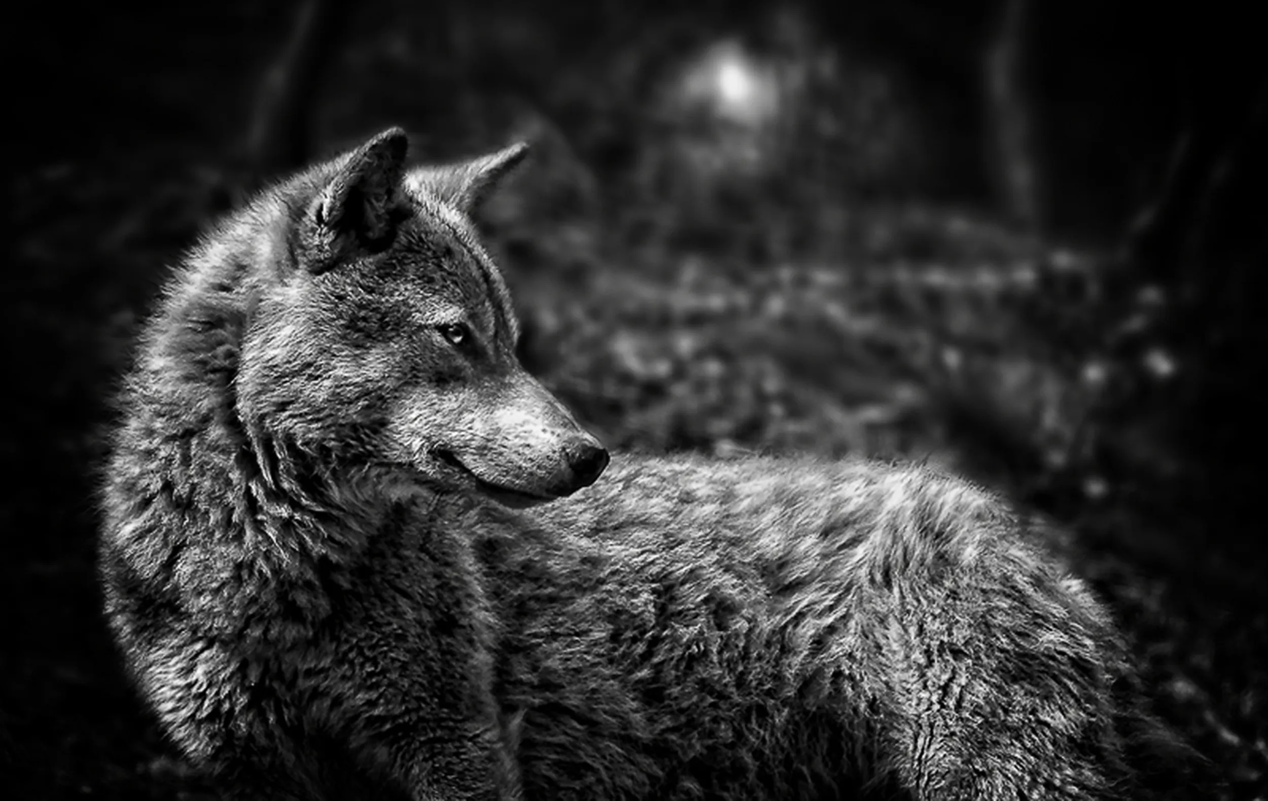Wolves
