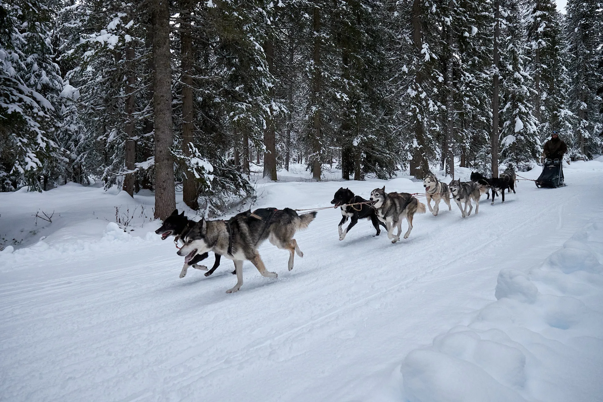 Outdoor Winter Sports