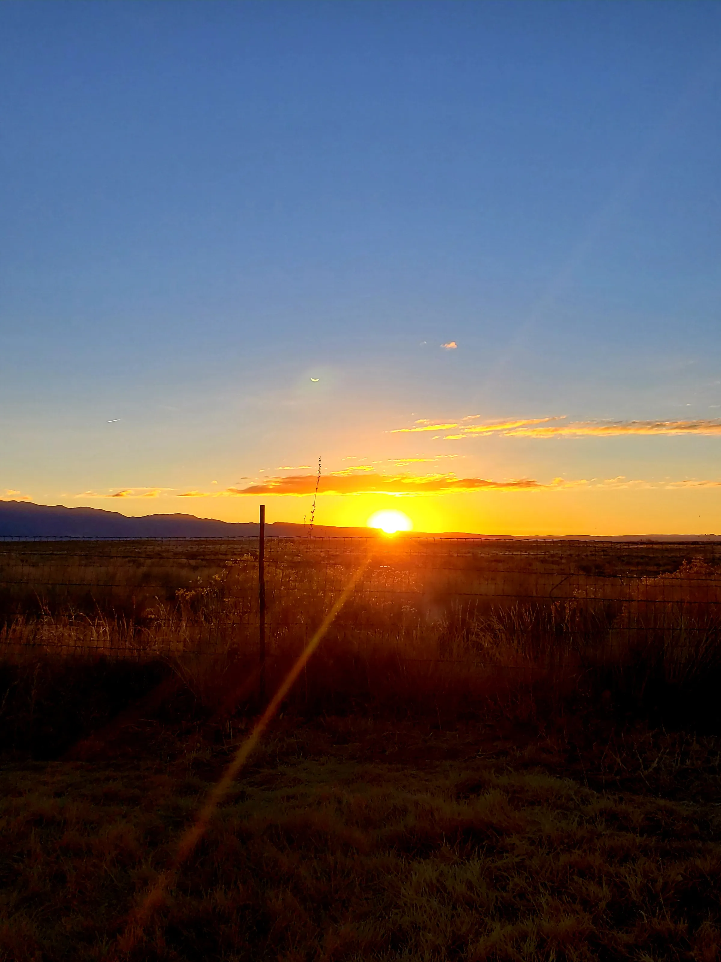 Desert Sunrise and Sunset