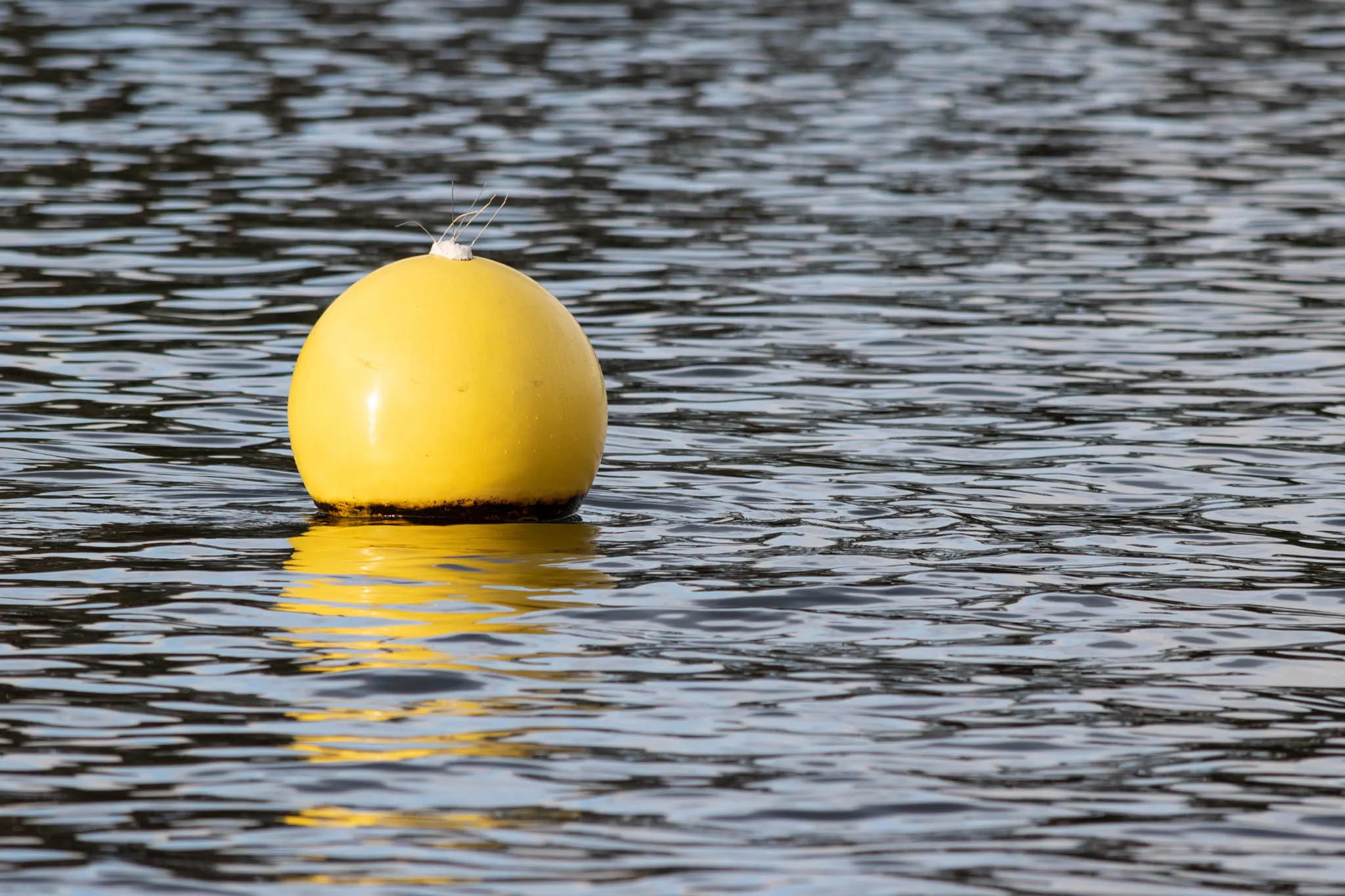 Floating on Water