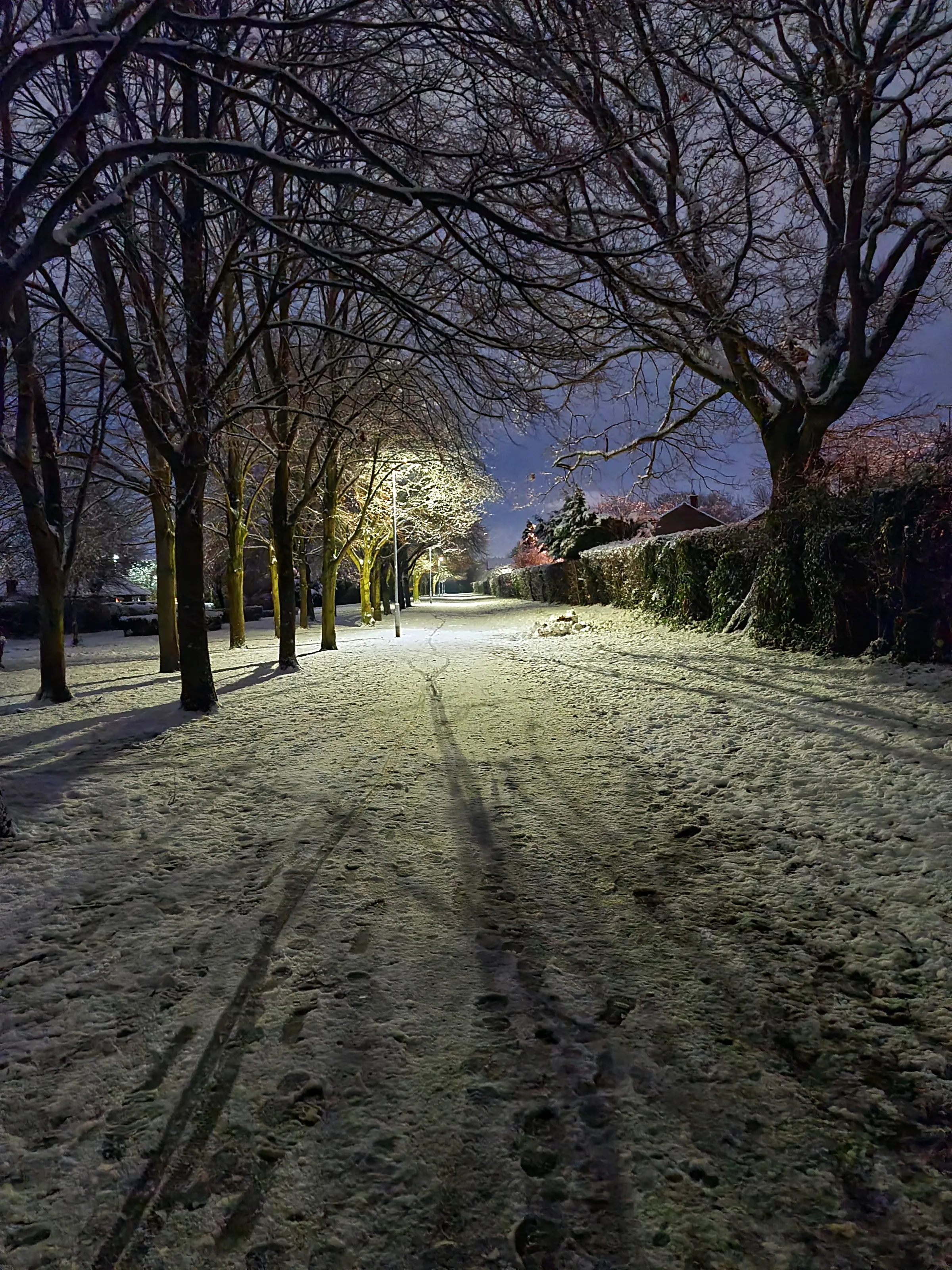 Shadows Outside at Night