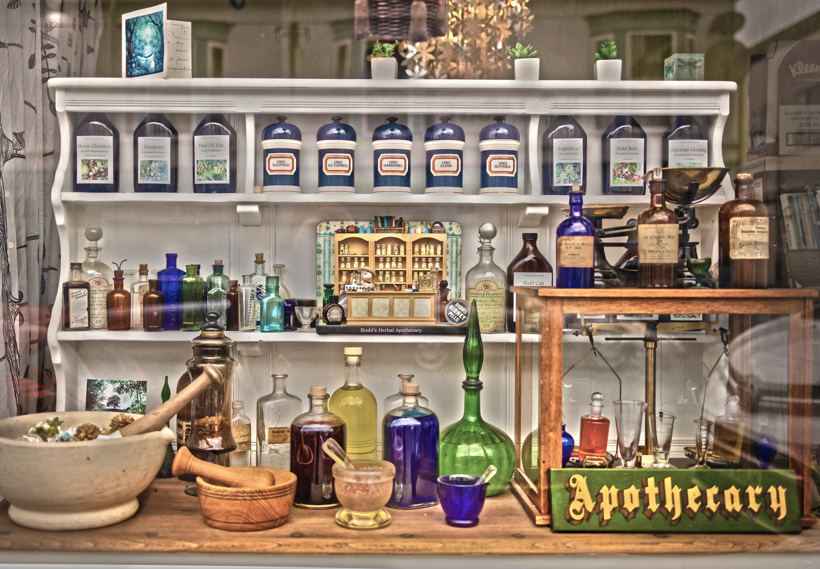 Shop Window Displays