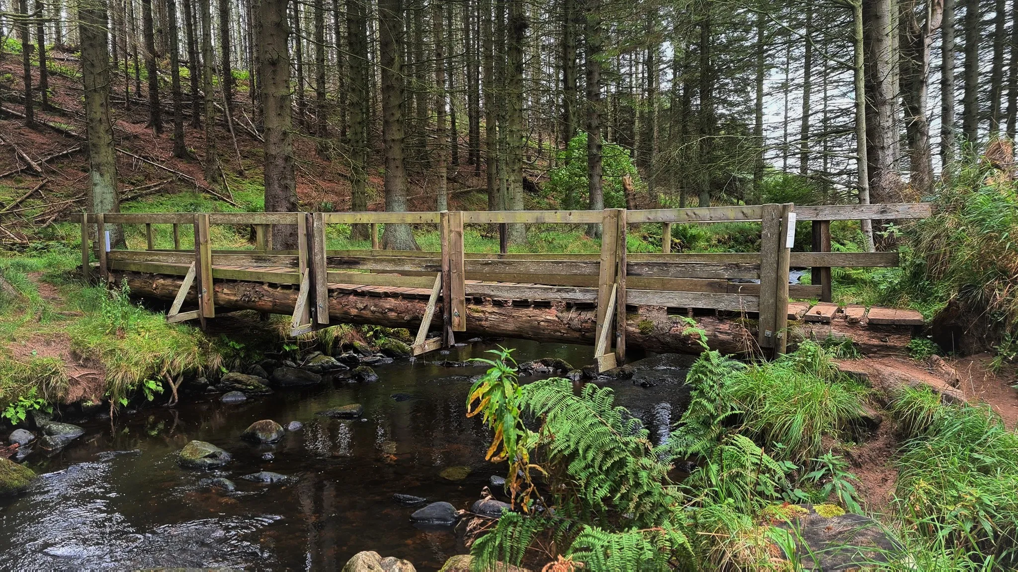 Wooden Bridges in Nature