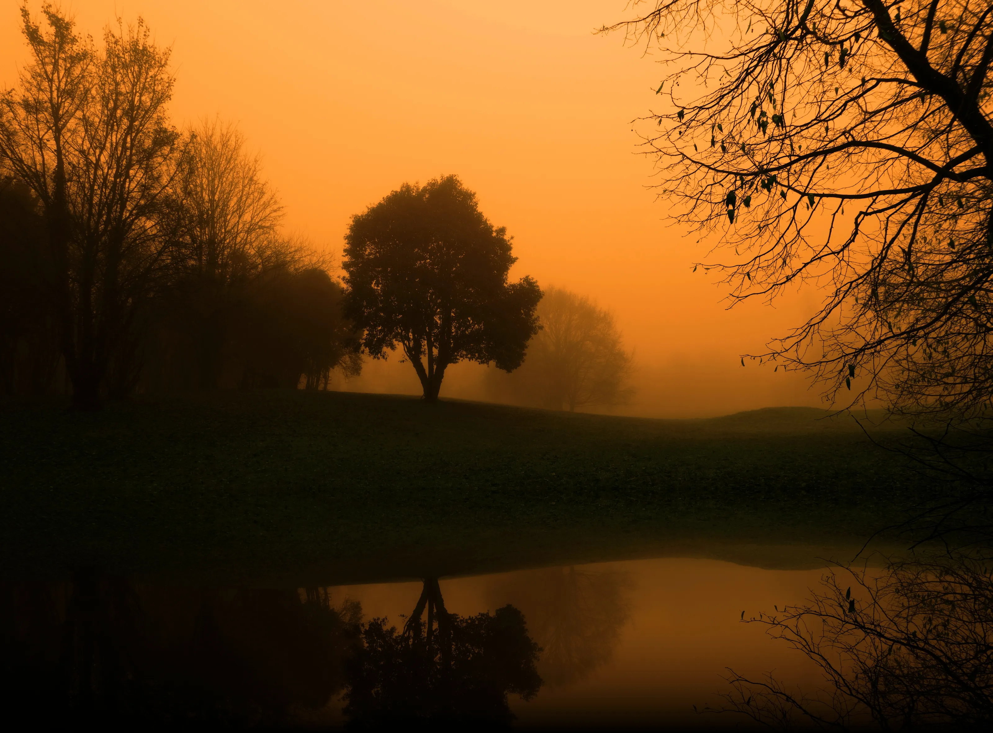 Orange Sky