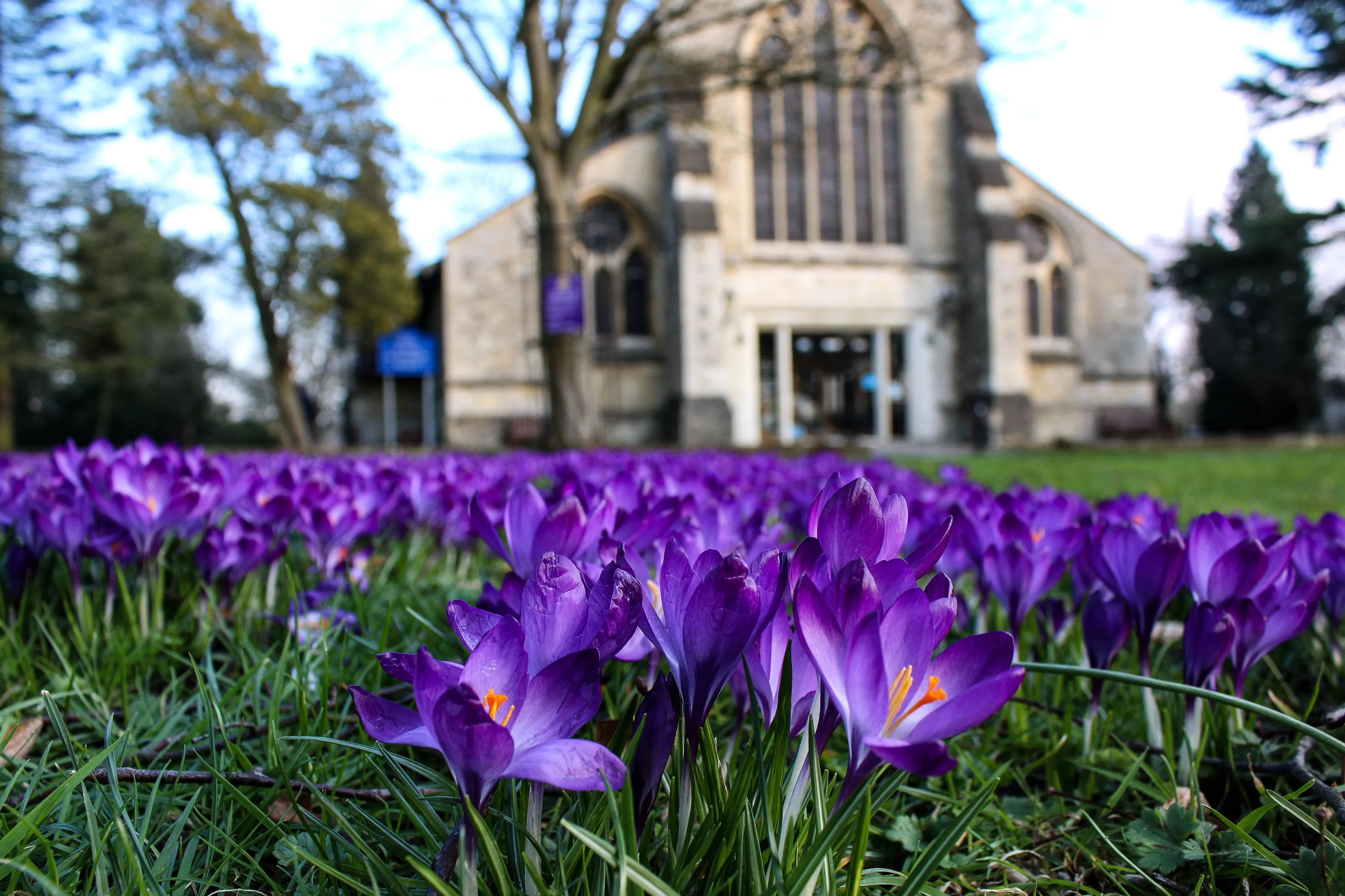 Spring is in the Air