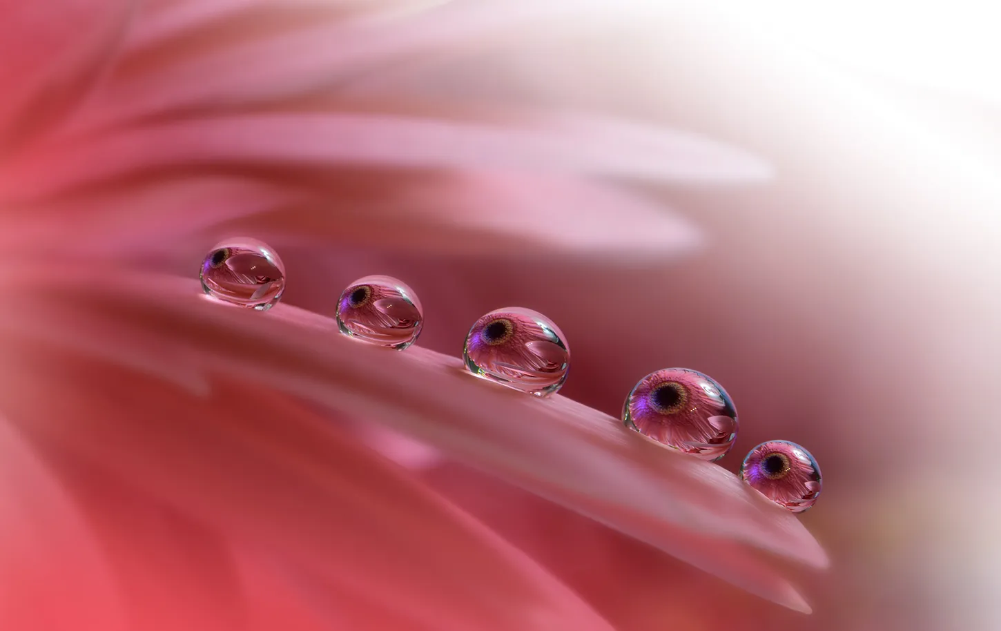 Refraction/Reflection in Water Droplets or Bubbles