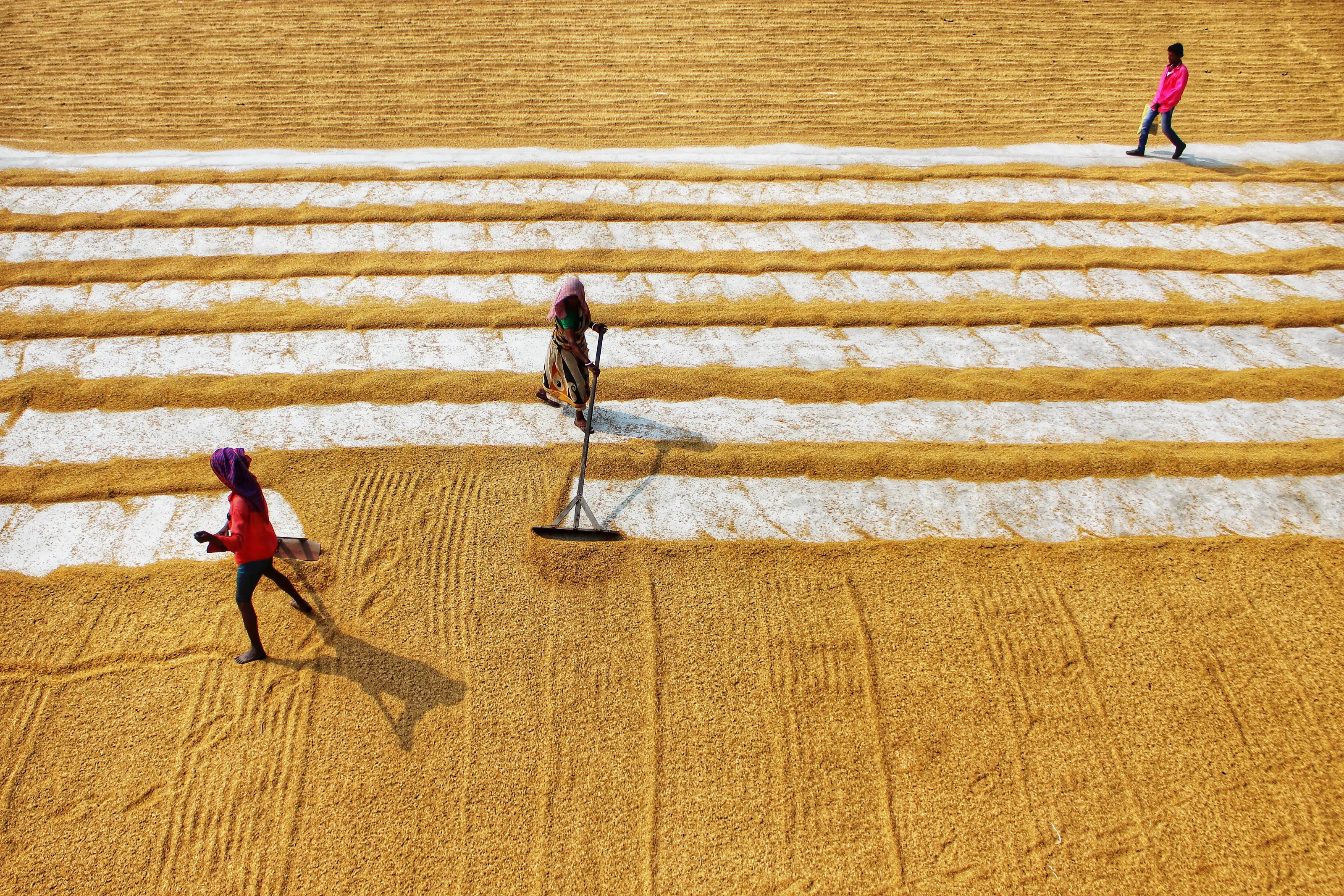 Parallel Lines