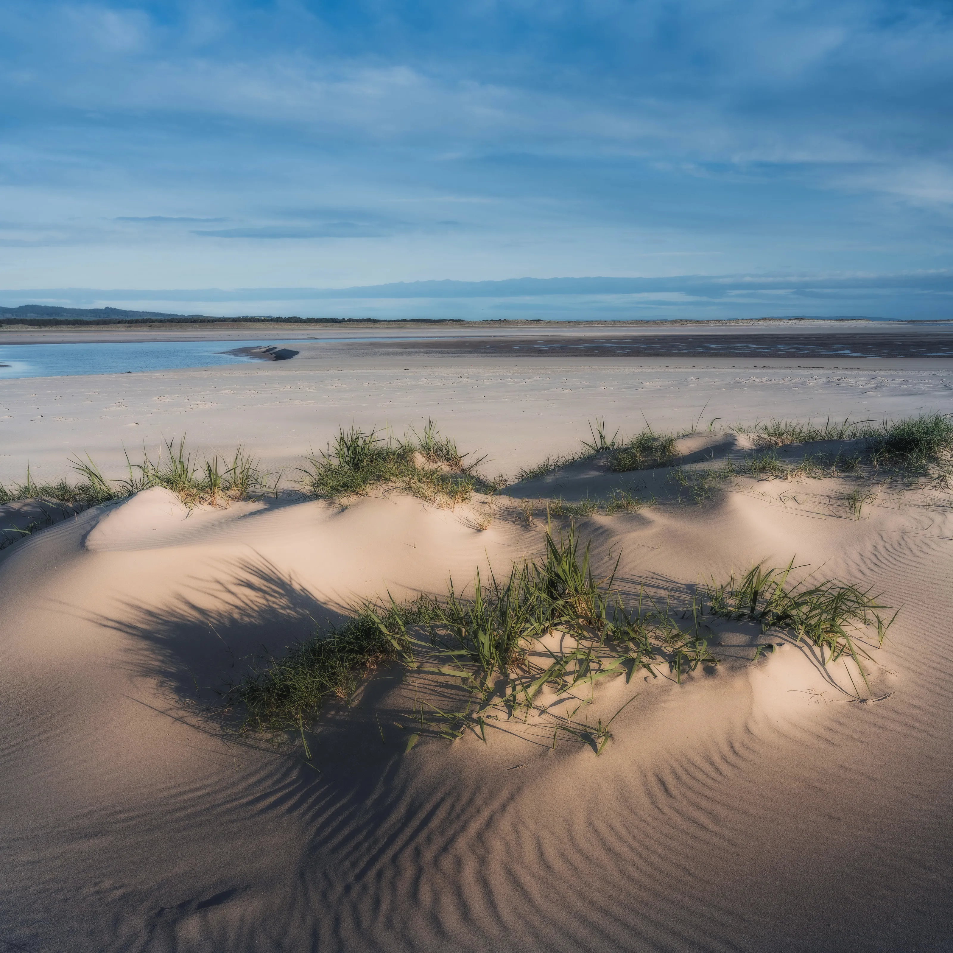 The Beach