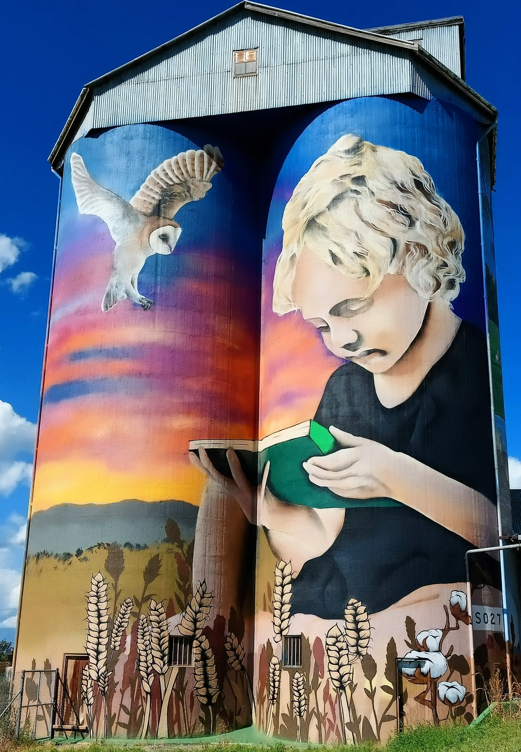 Artwork on Silos (in colour)