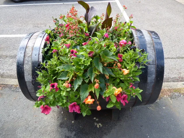 Small Gardens, Window Boxes and Container Gardens