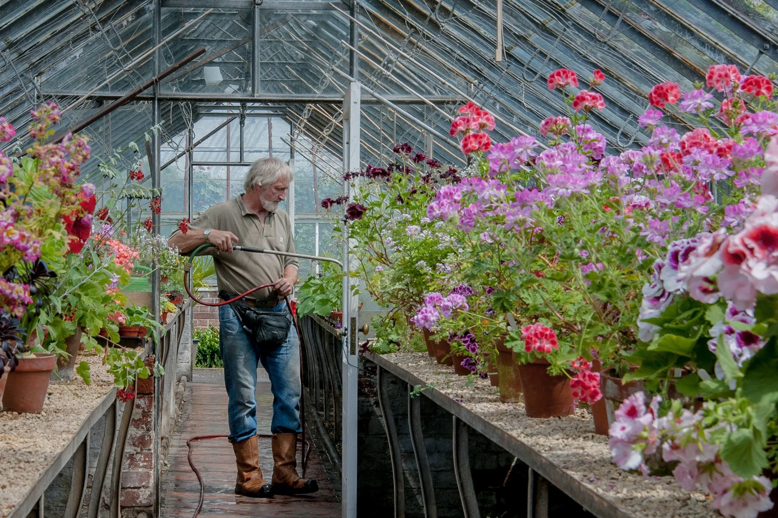 Inside Greenhouses and Glasshouses