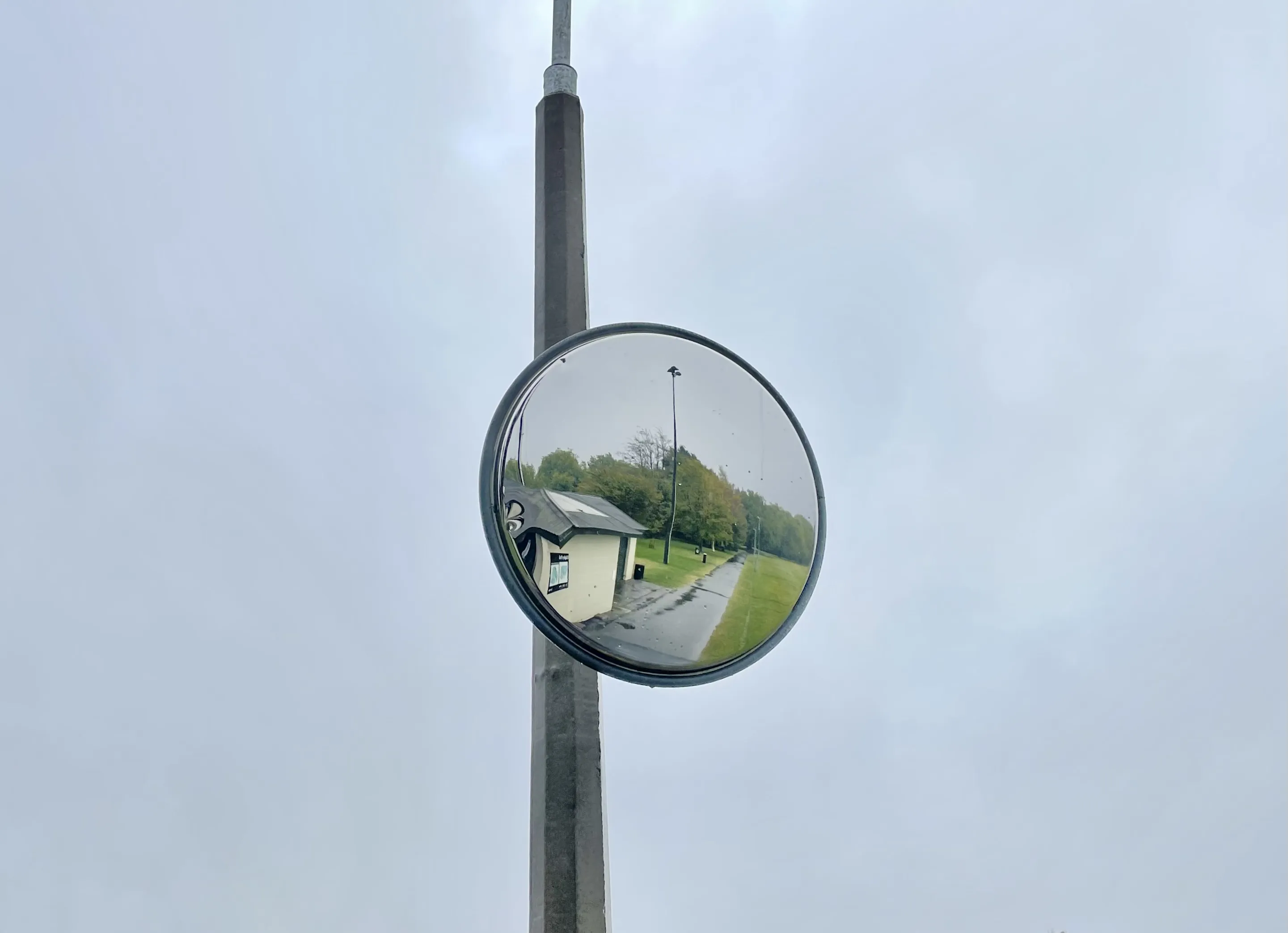 The View in the Mirror