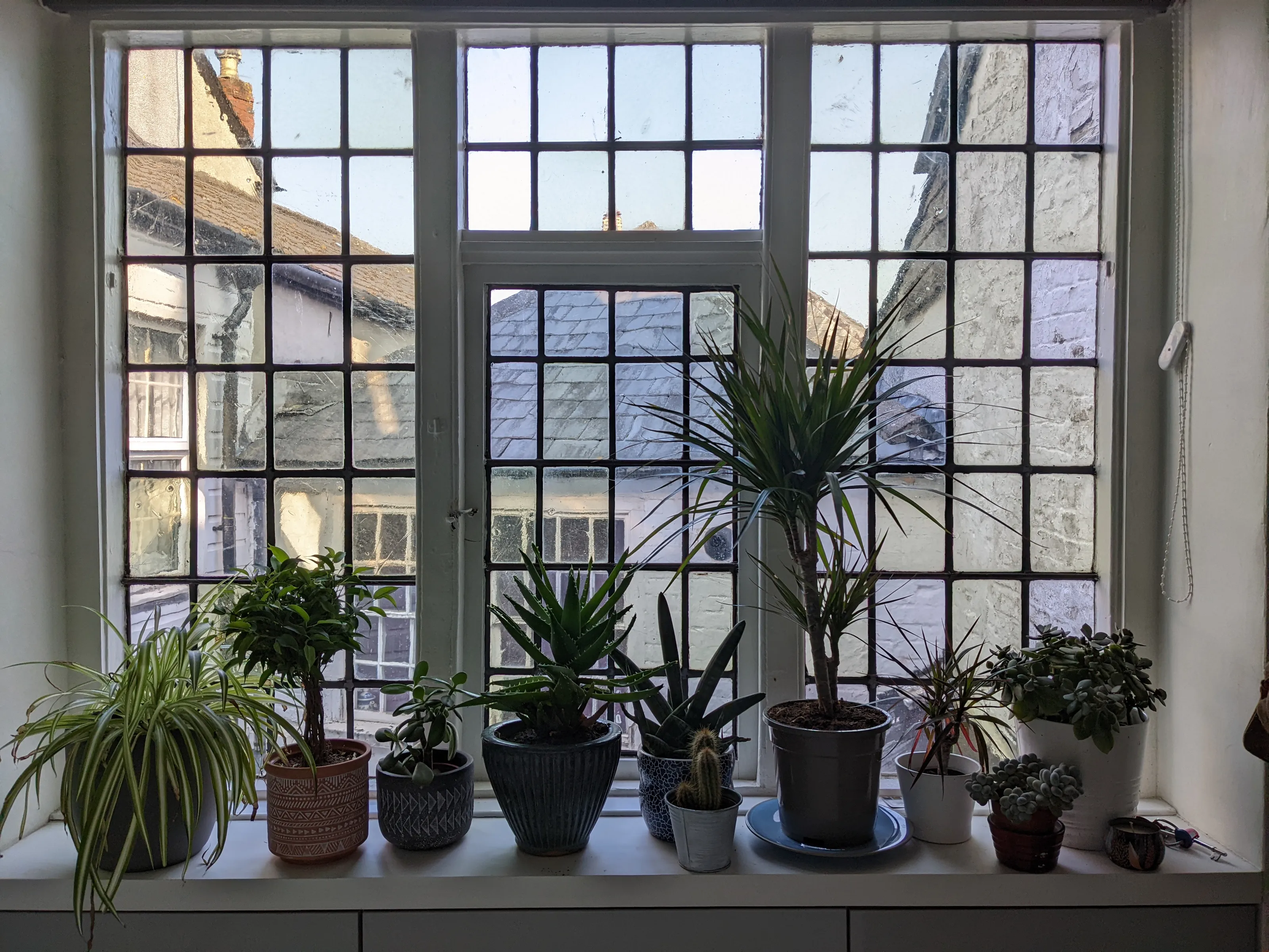 Through Windows from Inside Looking to the Outside