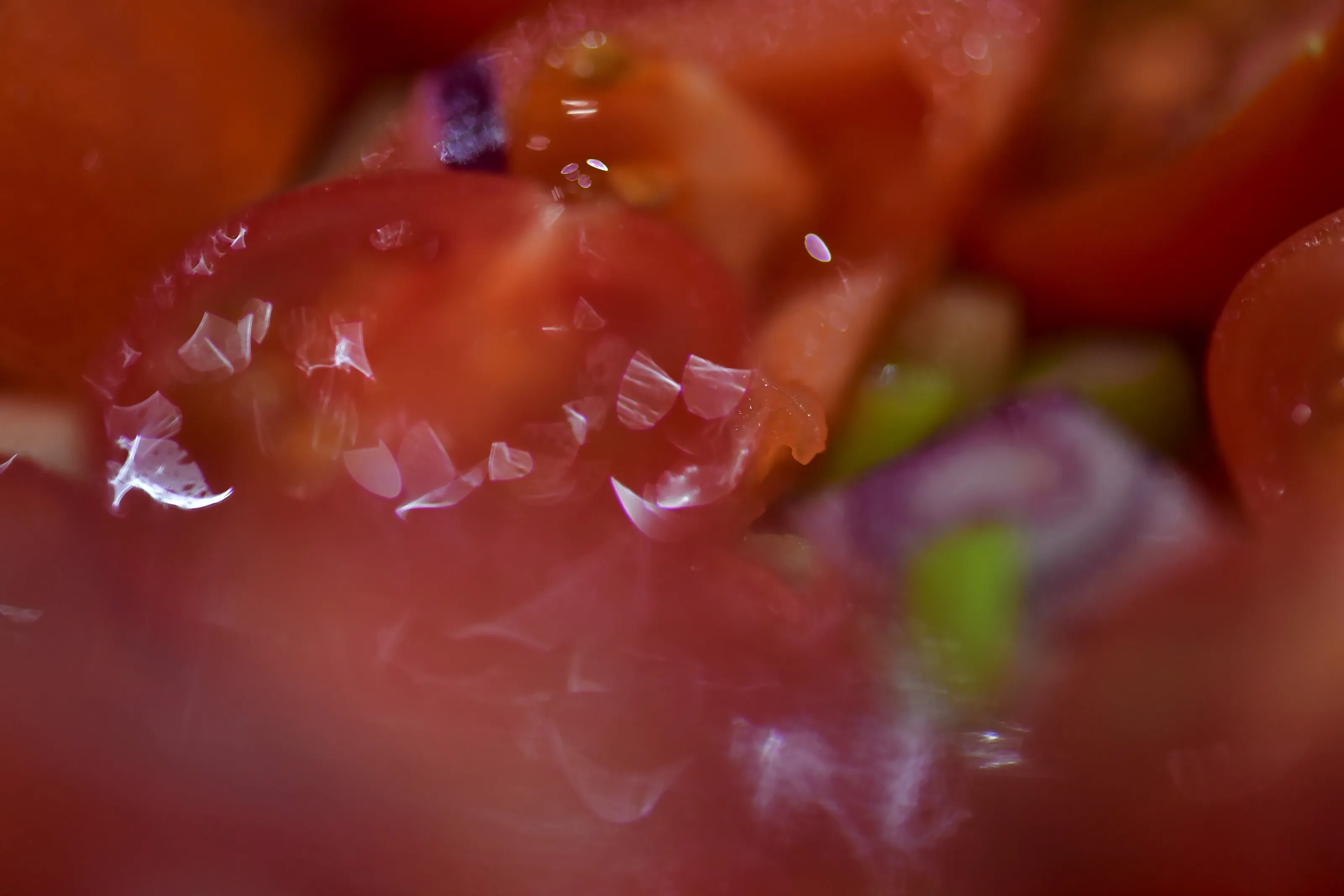 Food Abstracts