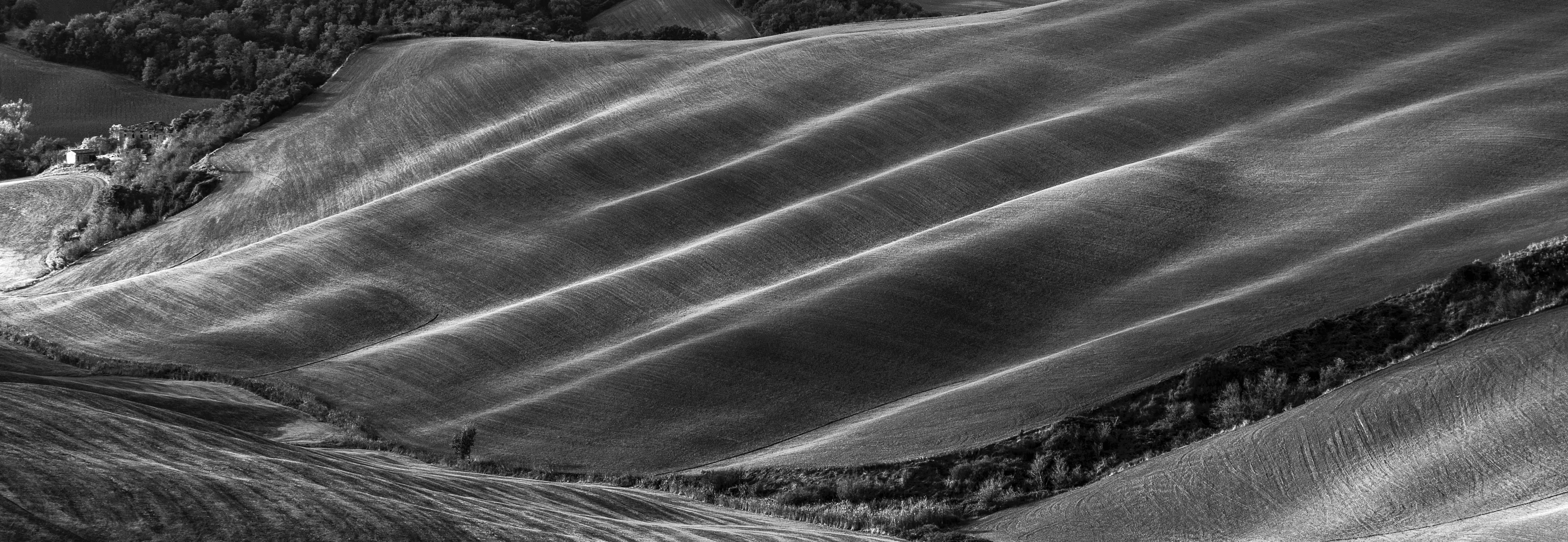 Black and White with No People and No Animals