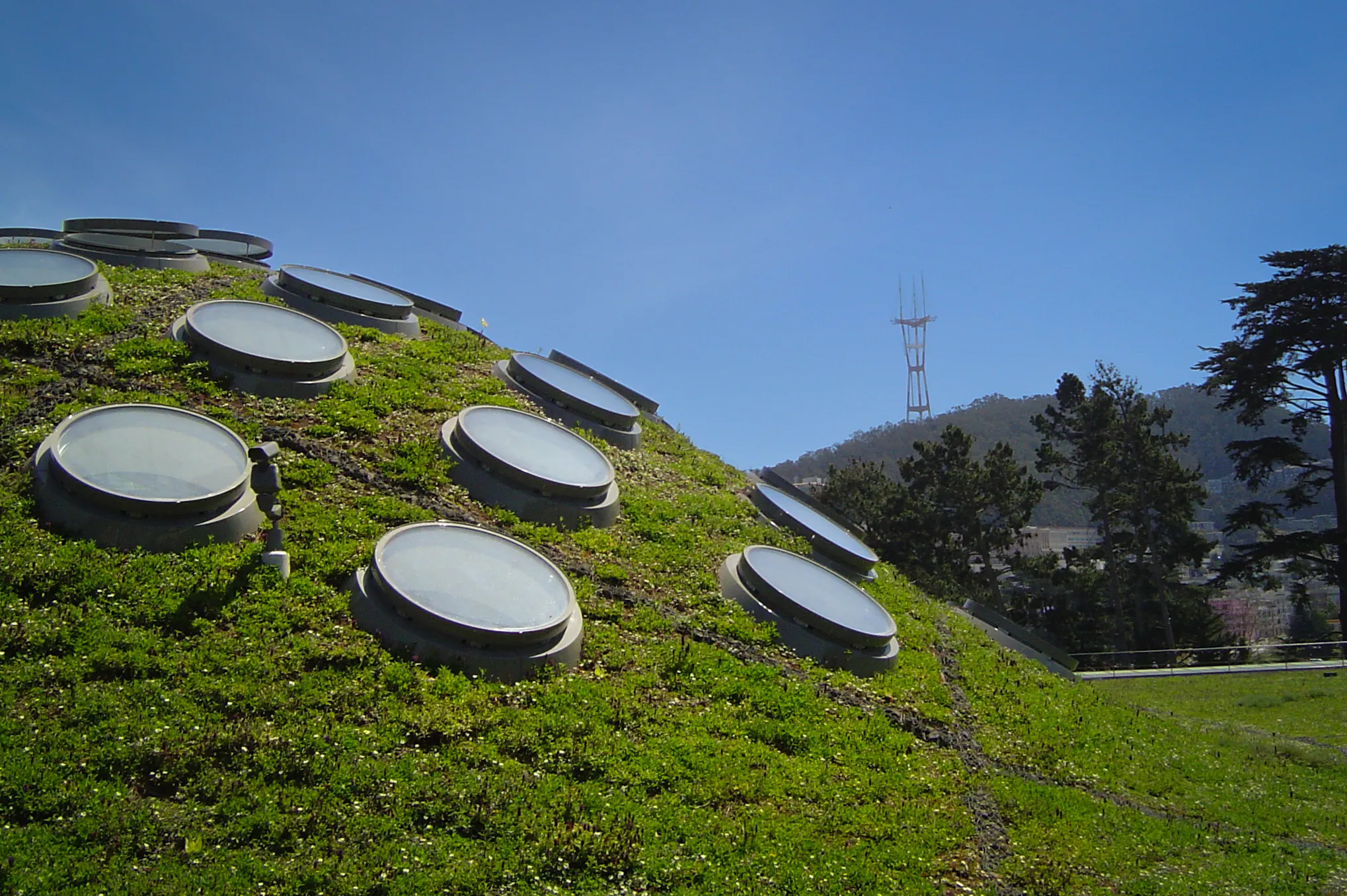 Living Roofs